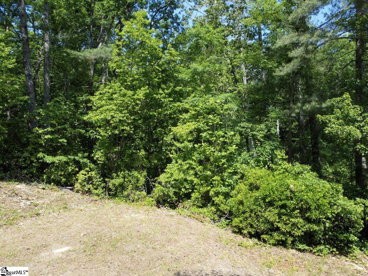 E18 Lake View Court Property Photo 9