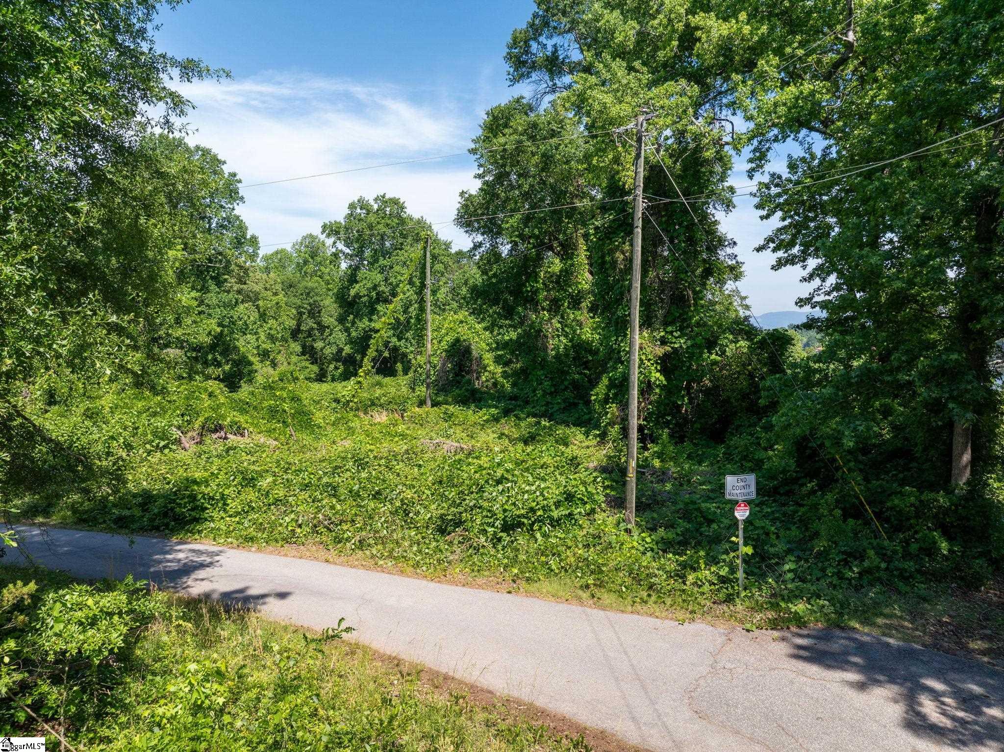 0 Ben Hurt Road Property Photo 5