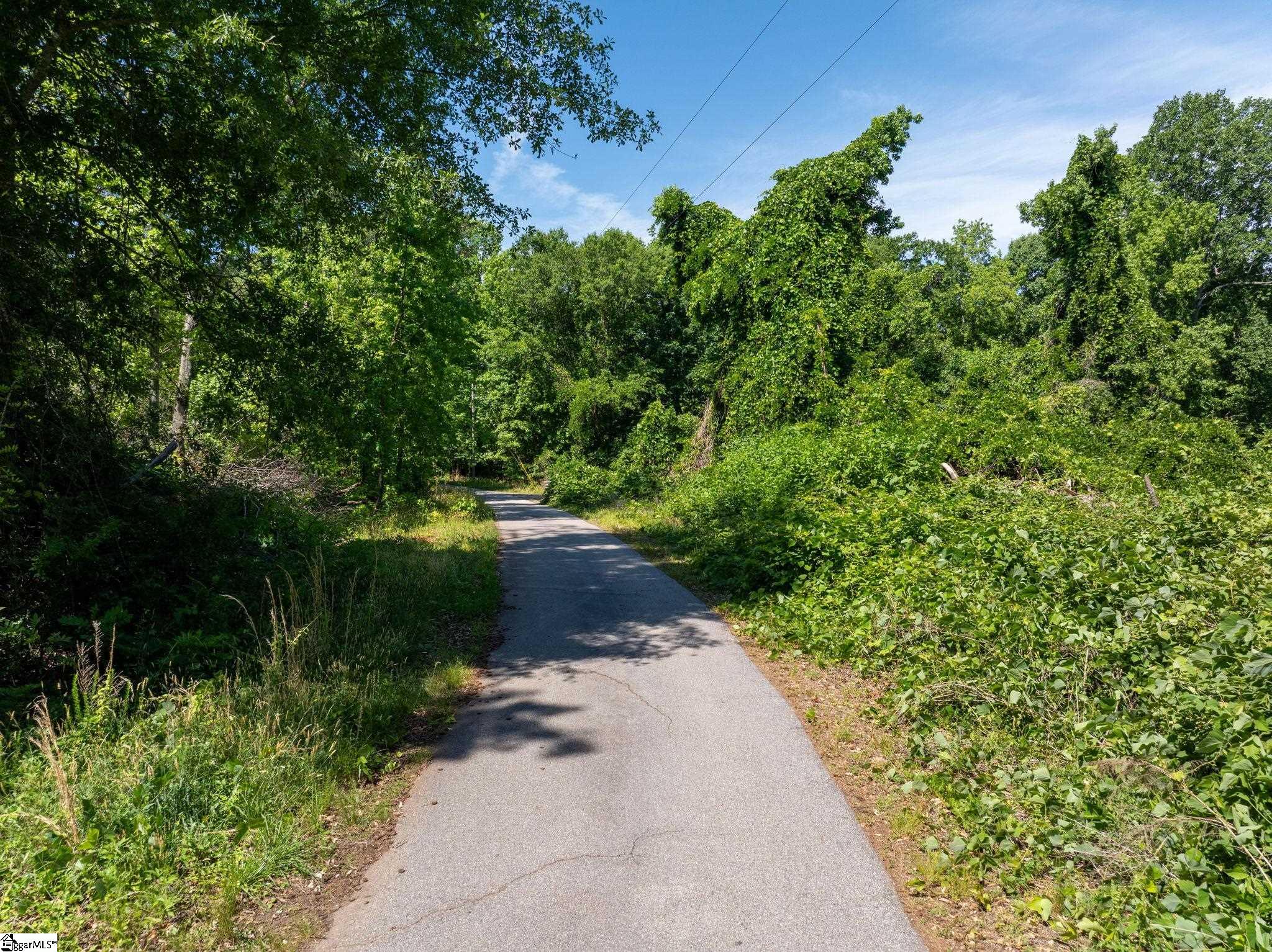 0 Ben Hurt Road Property Photo 6