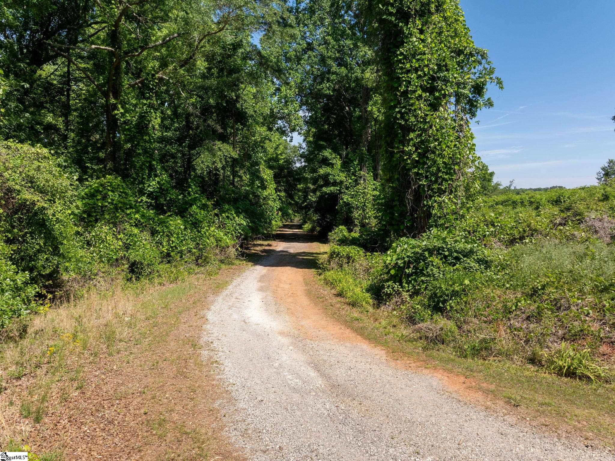 0 Ben Hurt Road Property Photo 7