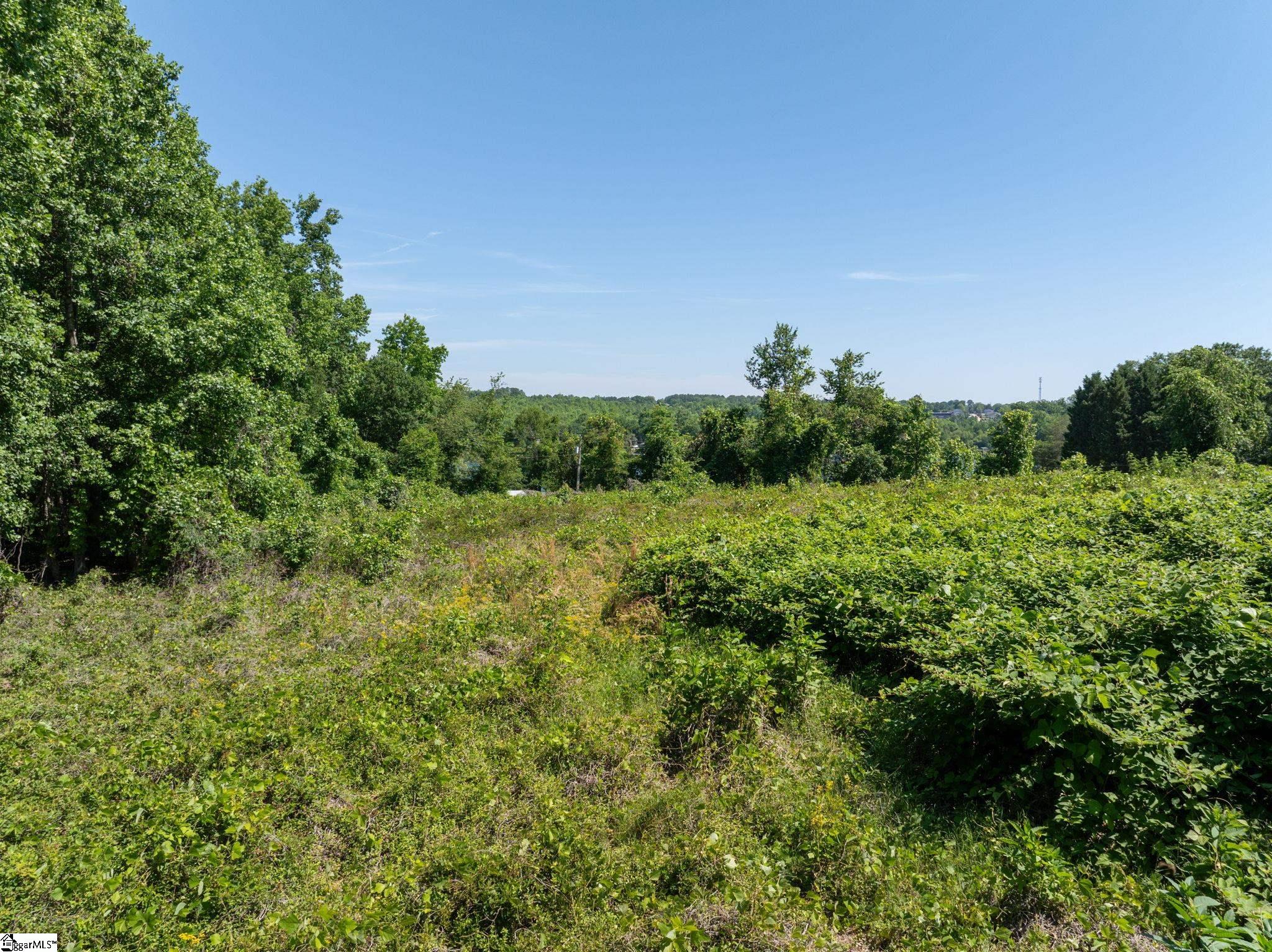 0 Ben Hurt Road Property Photo 8