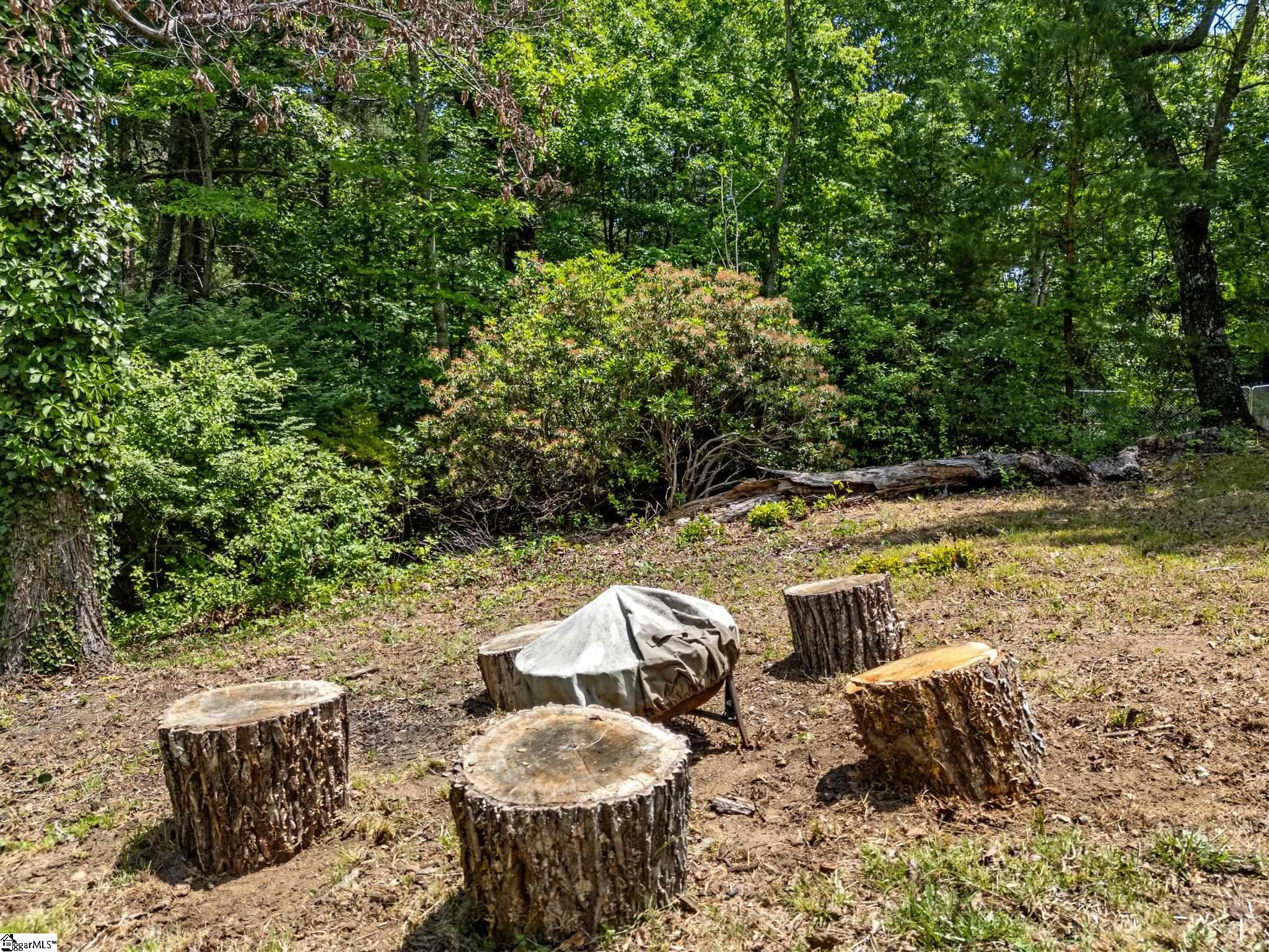 707 Dogwood Trail Property Photo 11