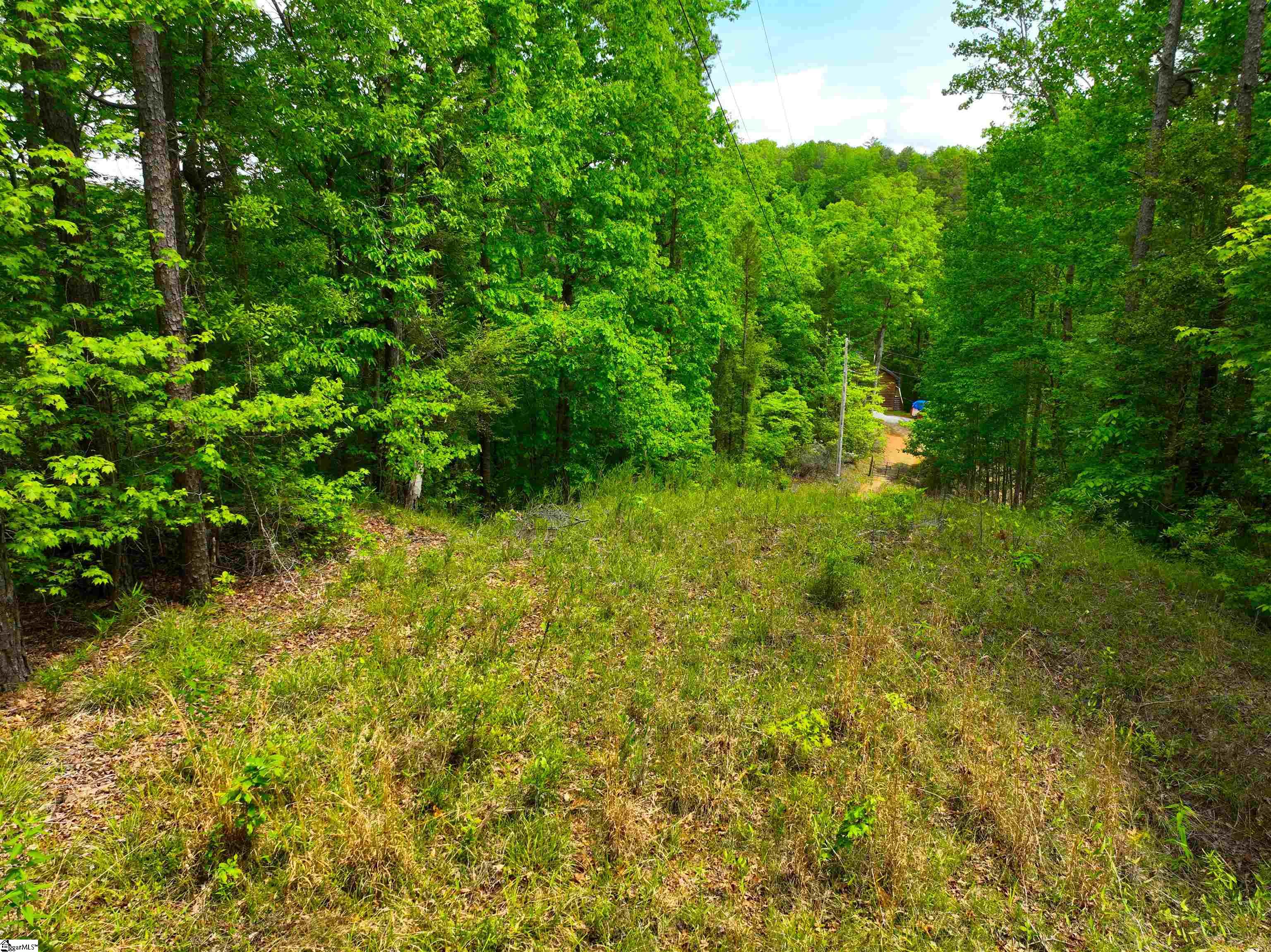 183 Chauga Valley Road Property Photo 5