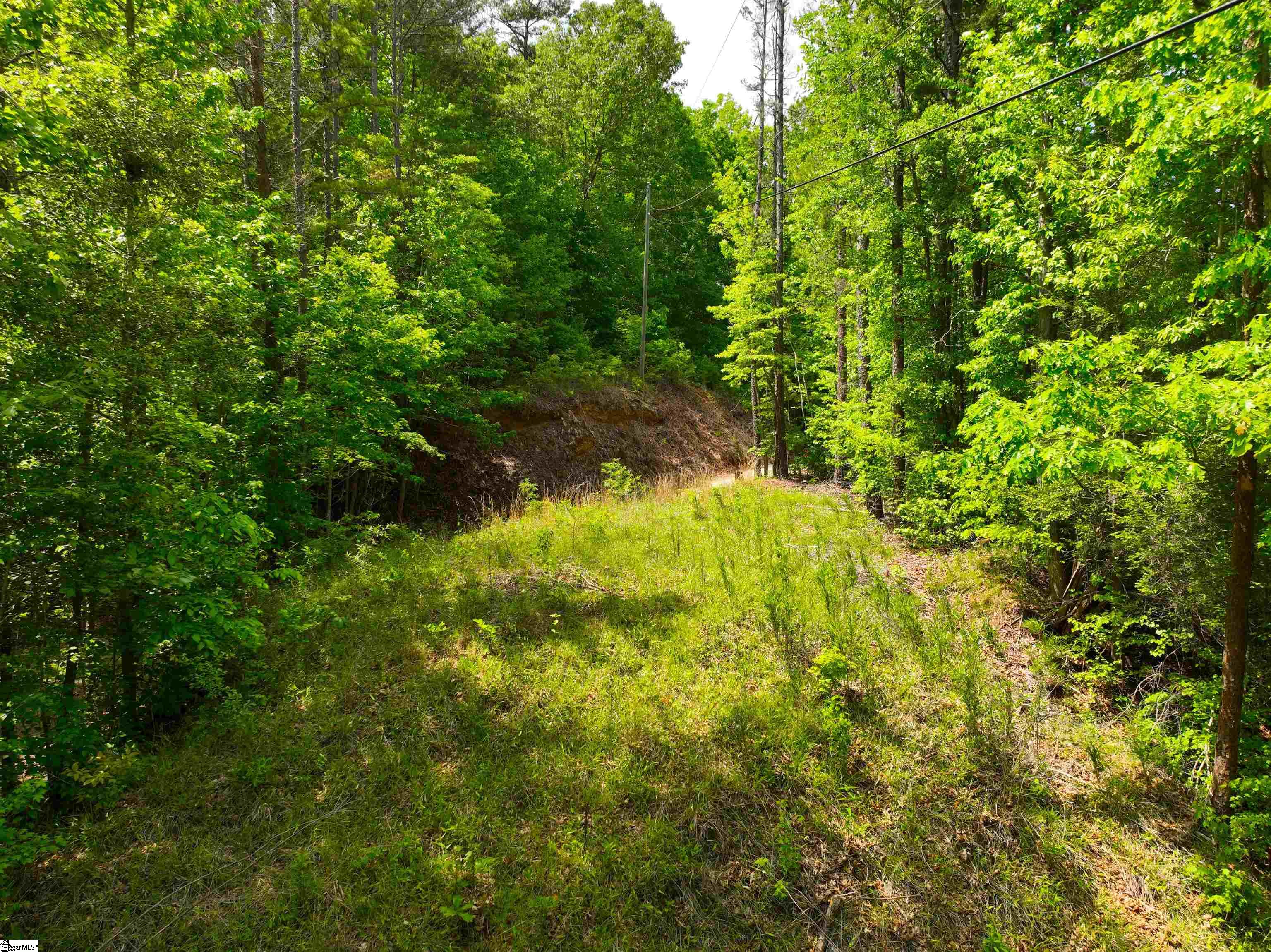 183 Chauga Valley Road Property Photo 6