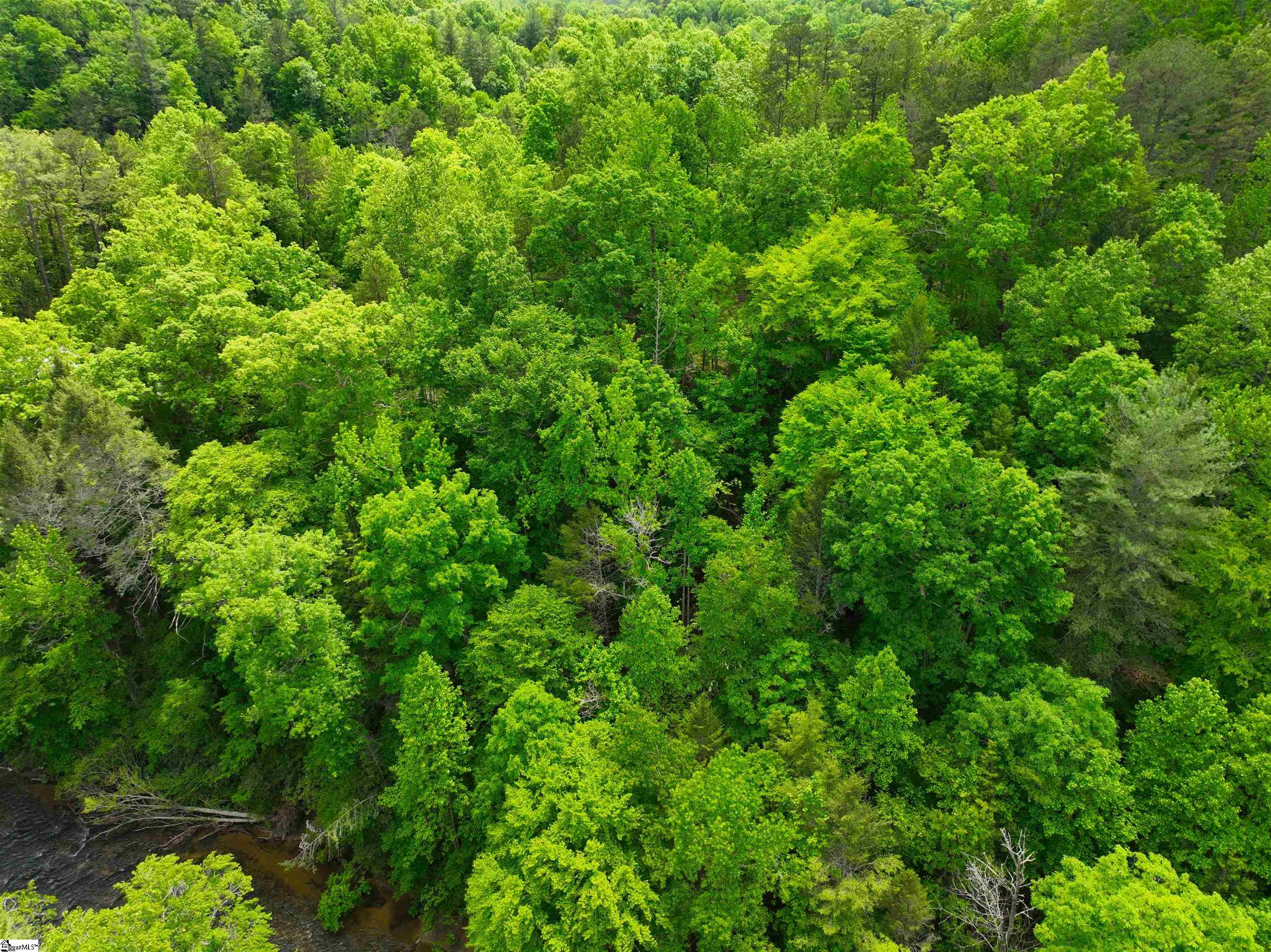 183 Chauga Valley Road Property Photo 8
