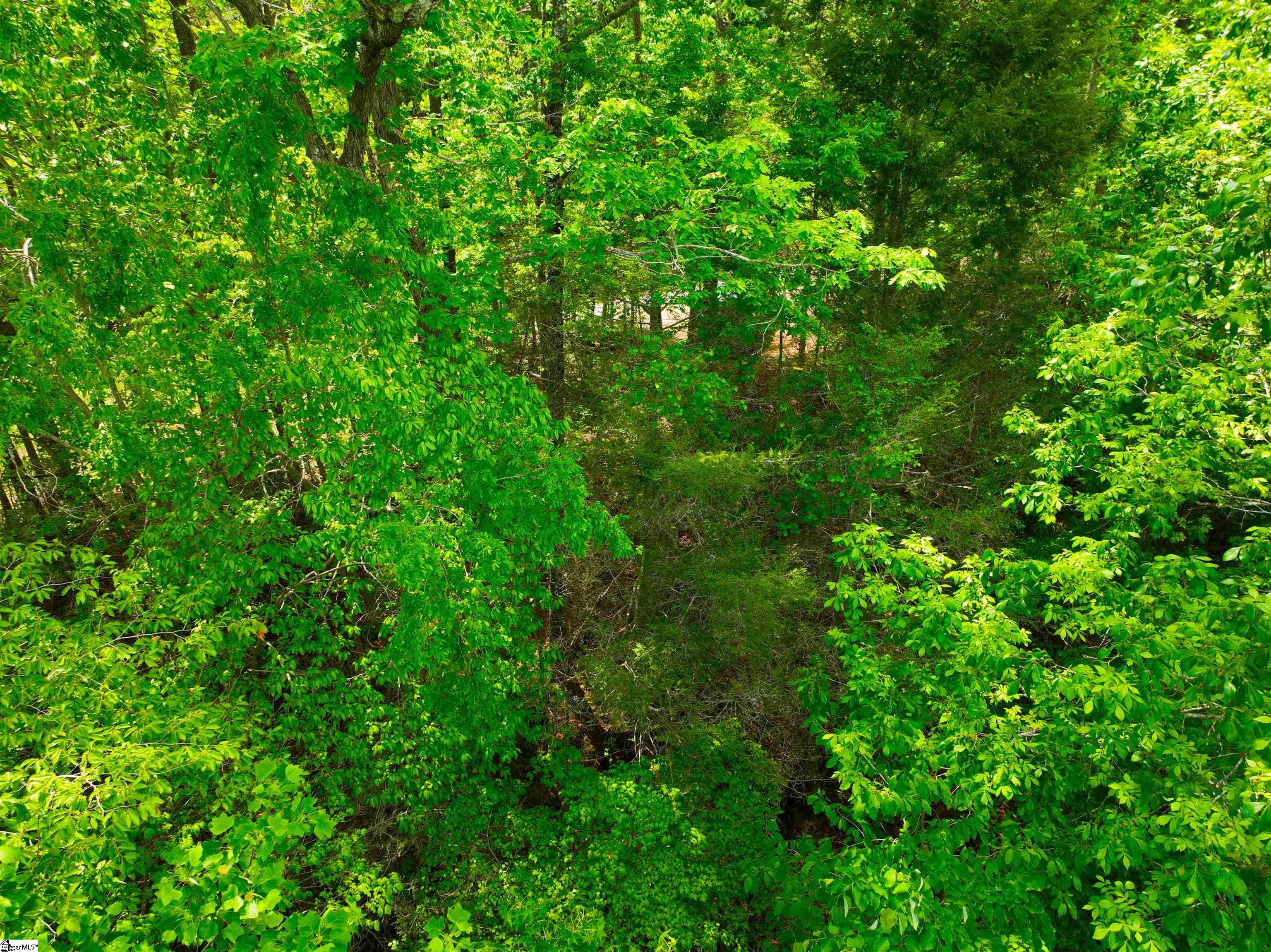 183 Chauga Valley Road Property Photo 11