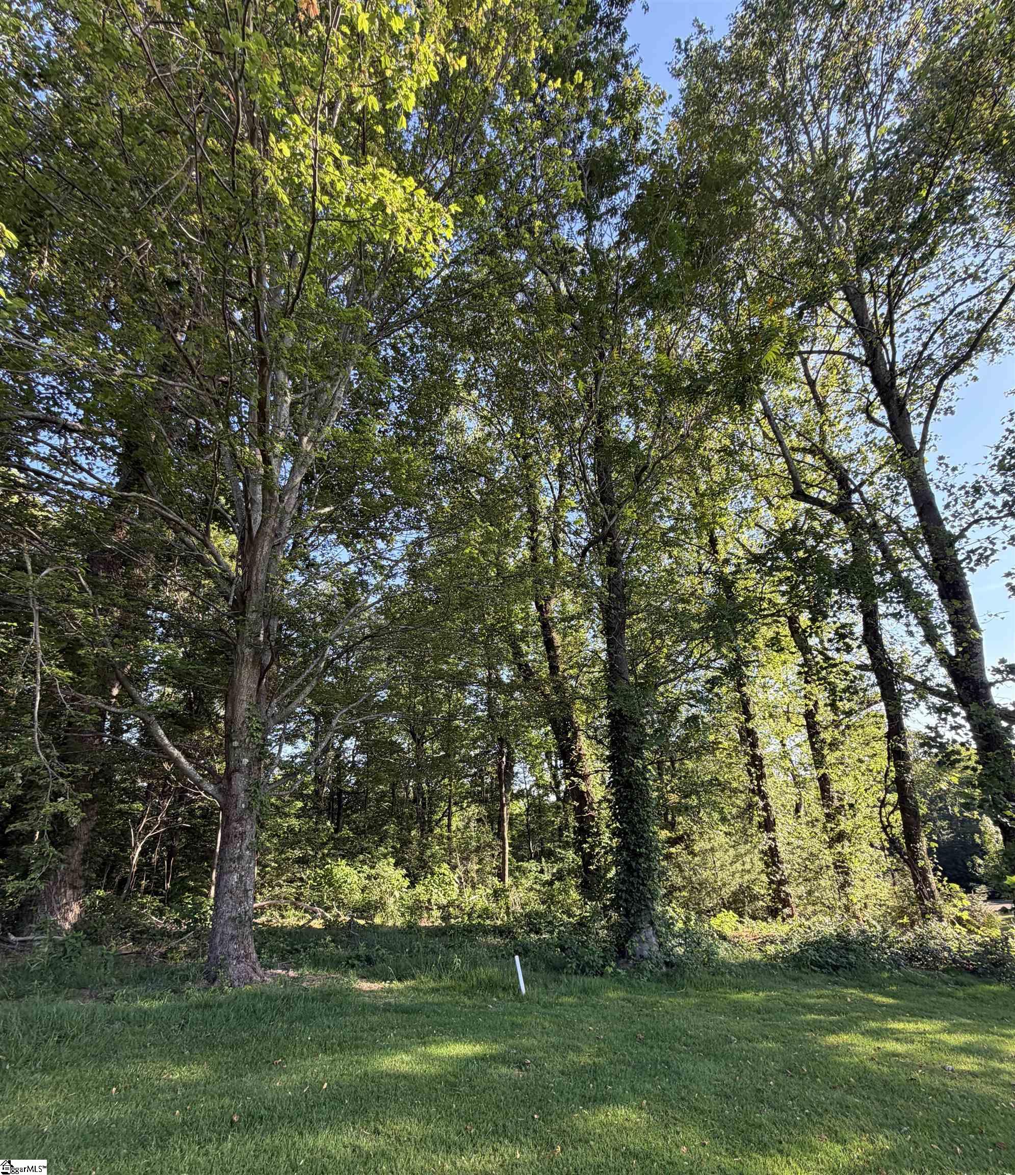 103 May Apple Way Property Photo 6