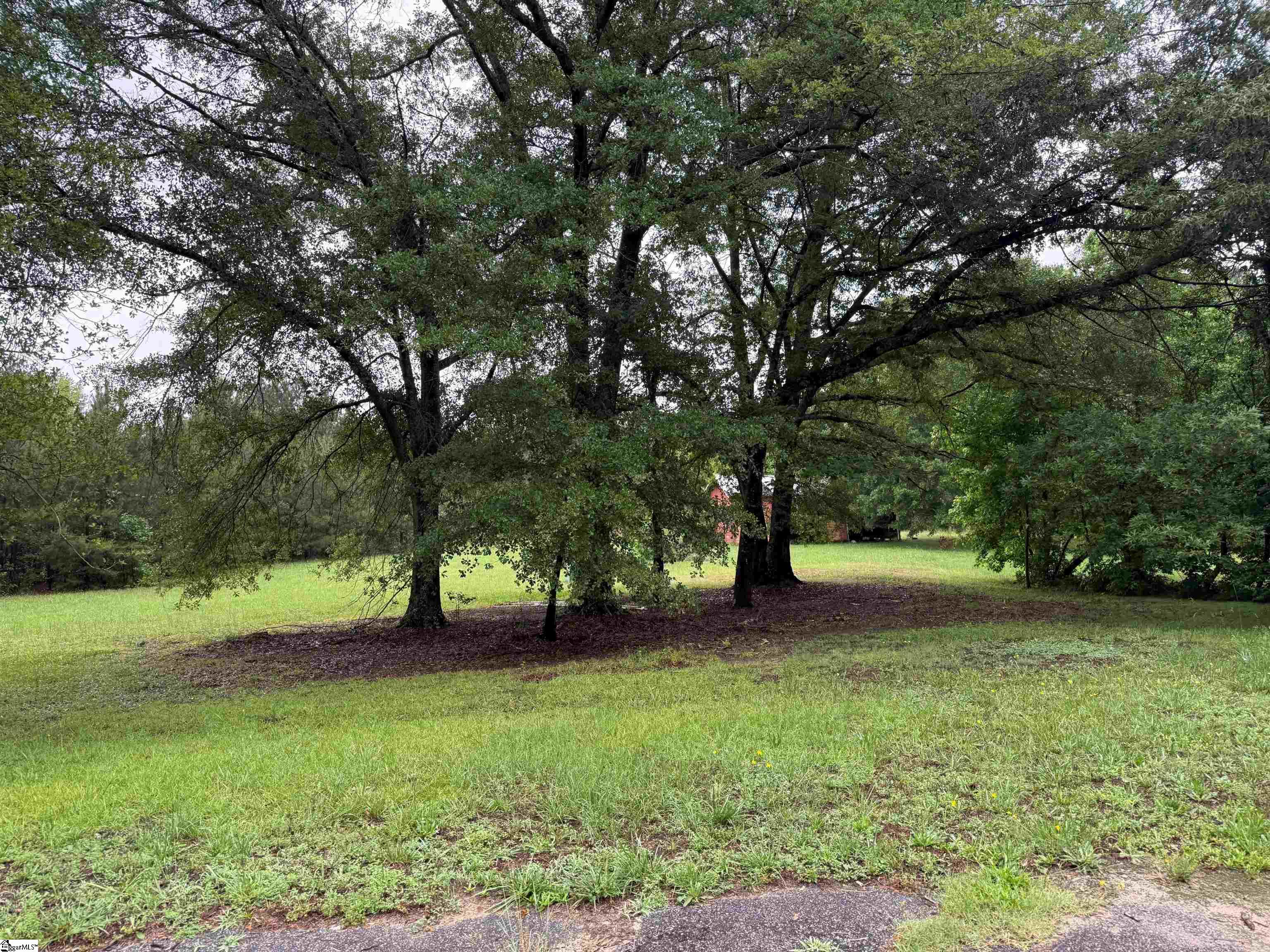 125 Terry Road Property Photo 12