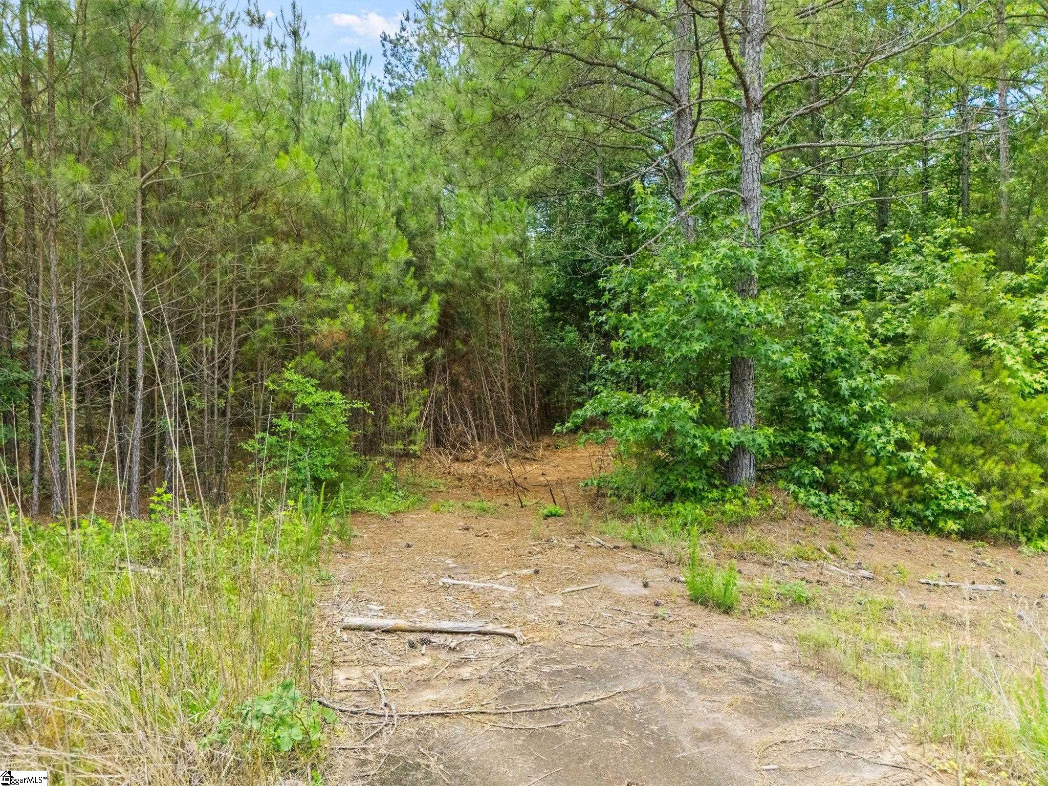 14878 25 Highway Property Photo 15