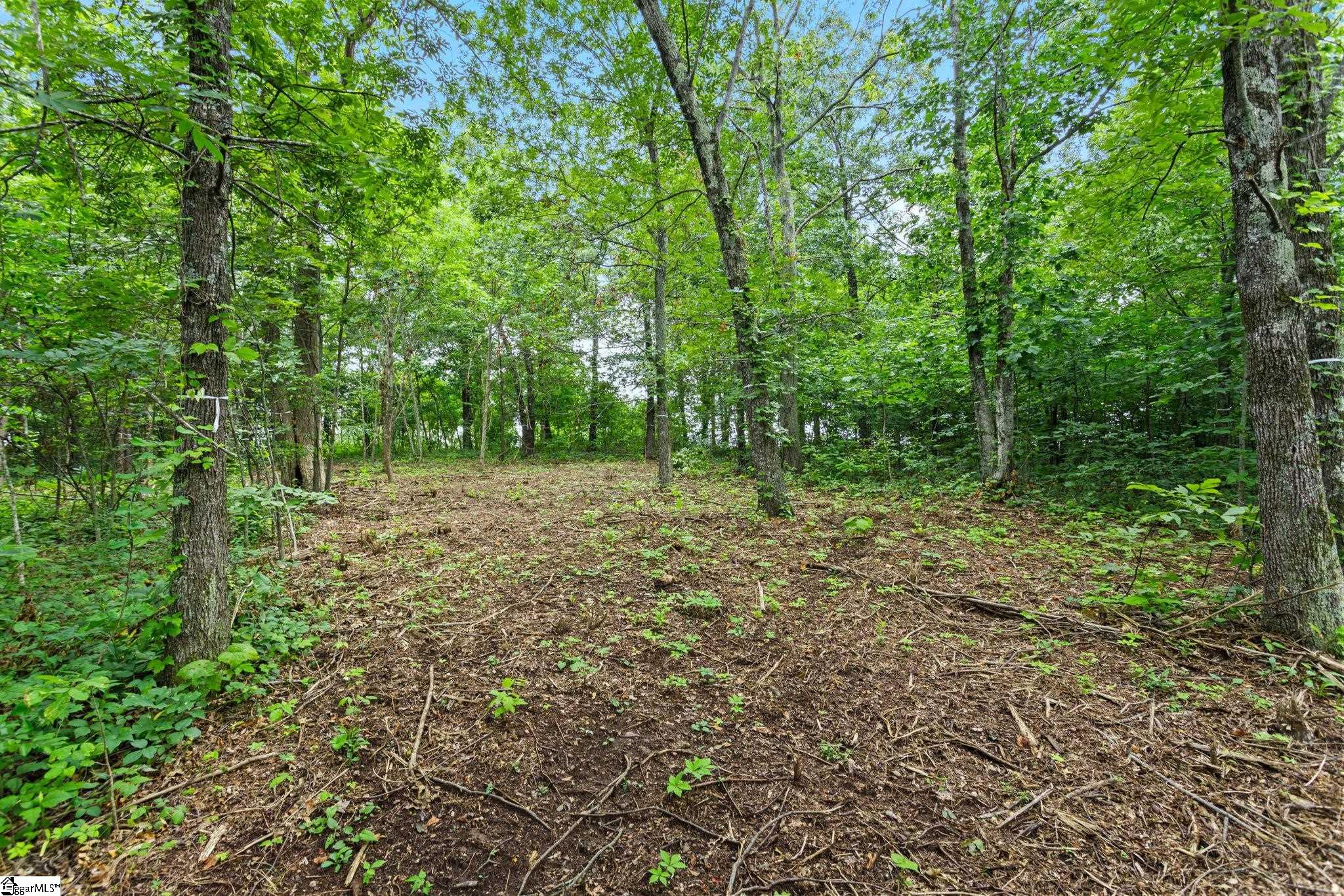 223 May Apple Way Property Photo 4