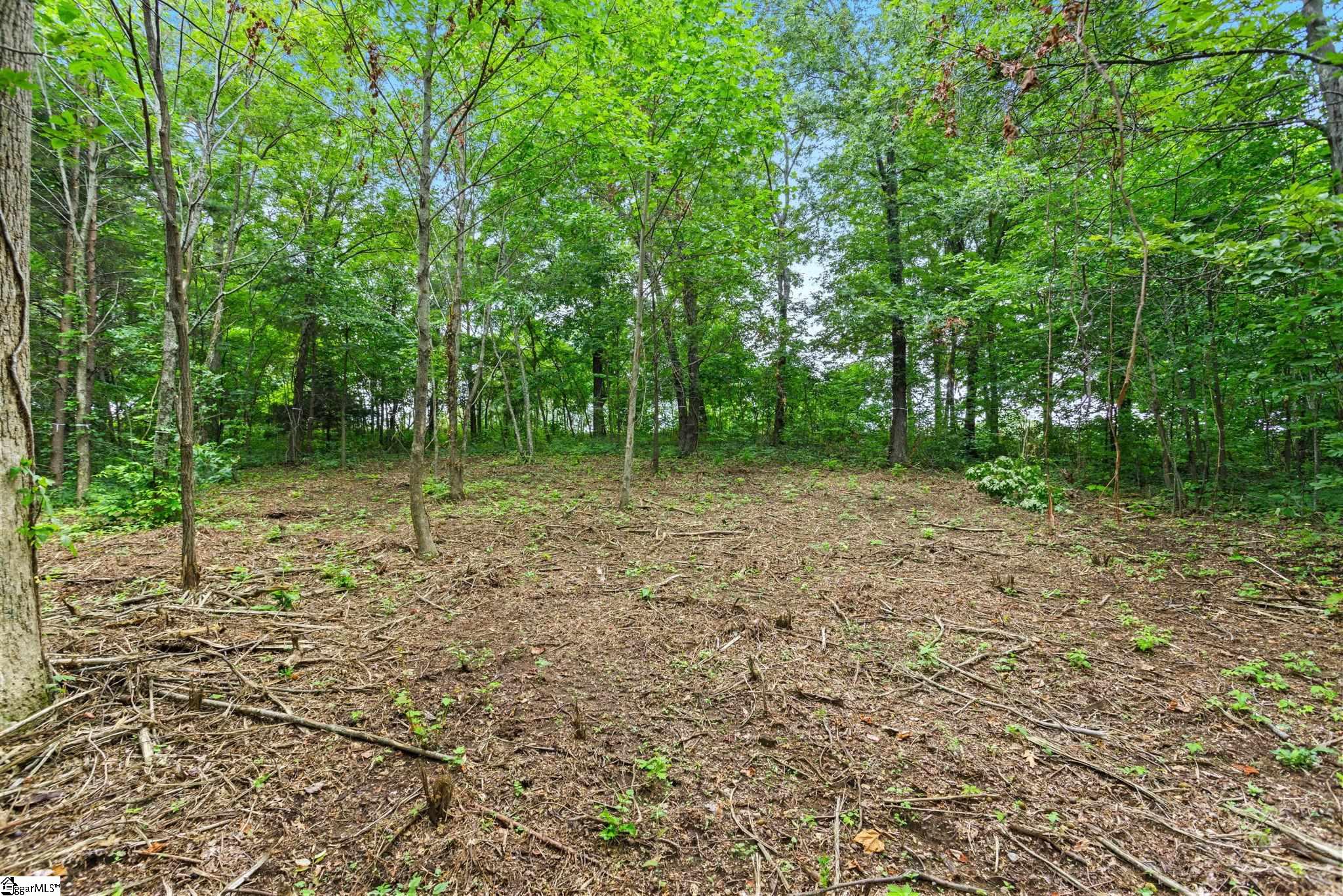 223 May Apple Way Property Photo 12