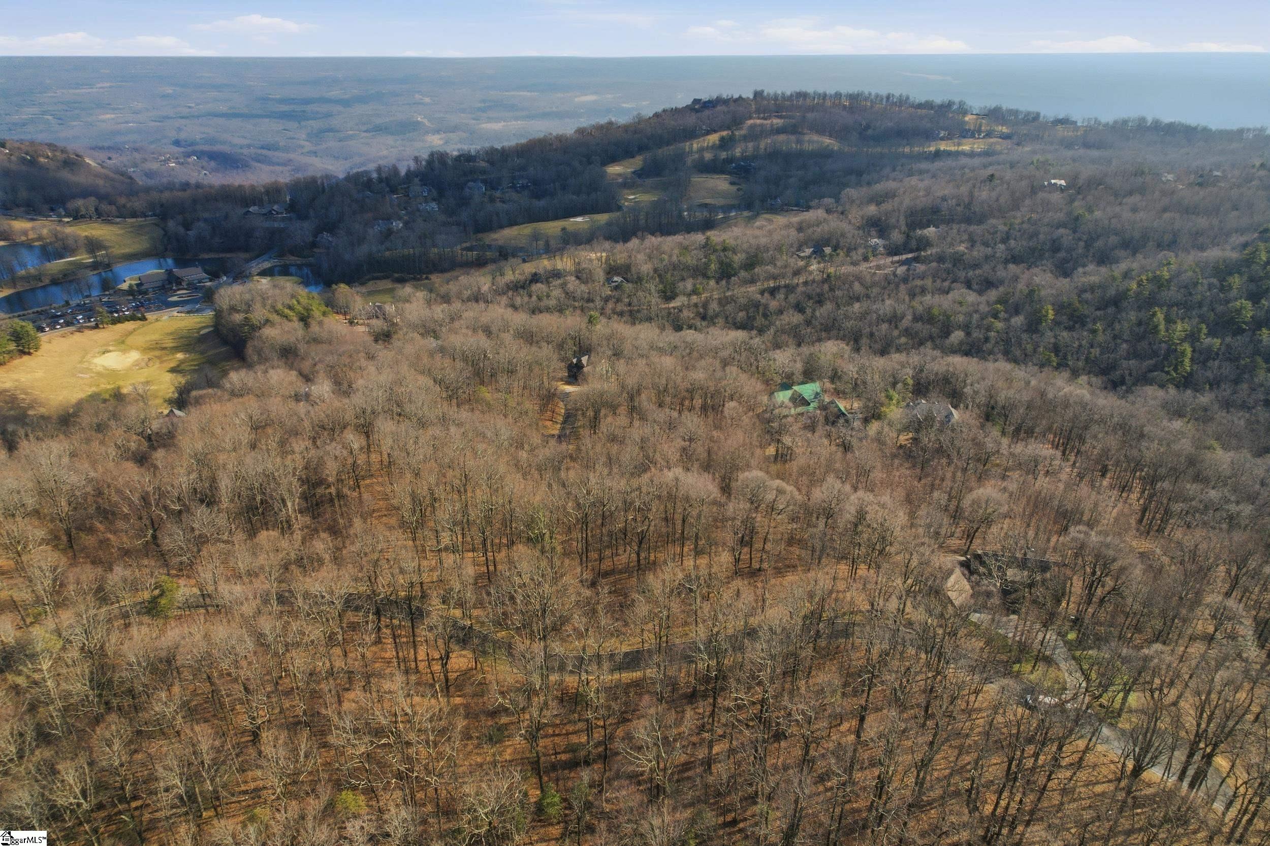 116 Witch Hazel Trail Property Photo 8