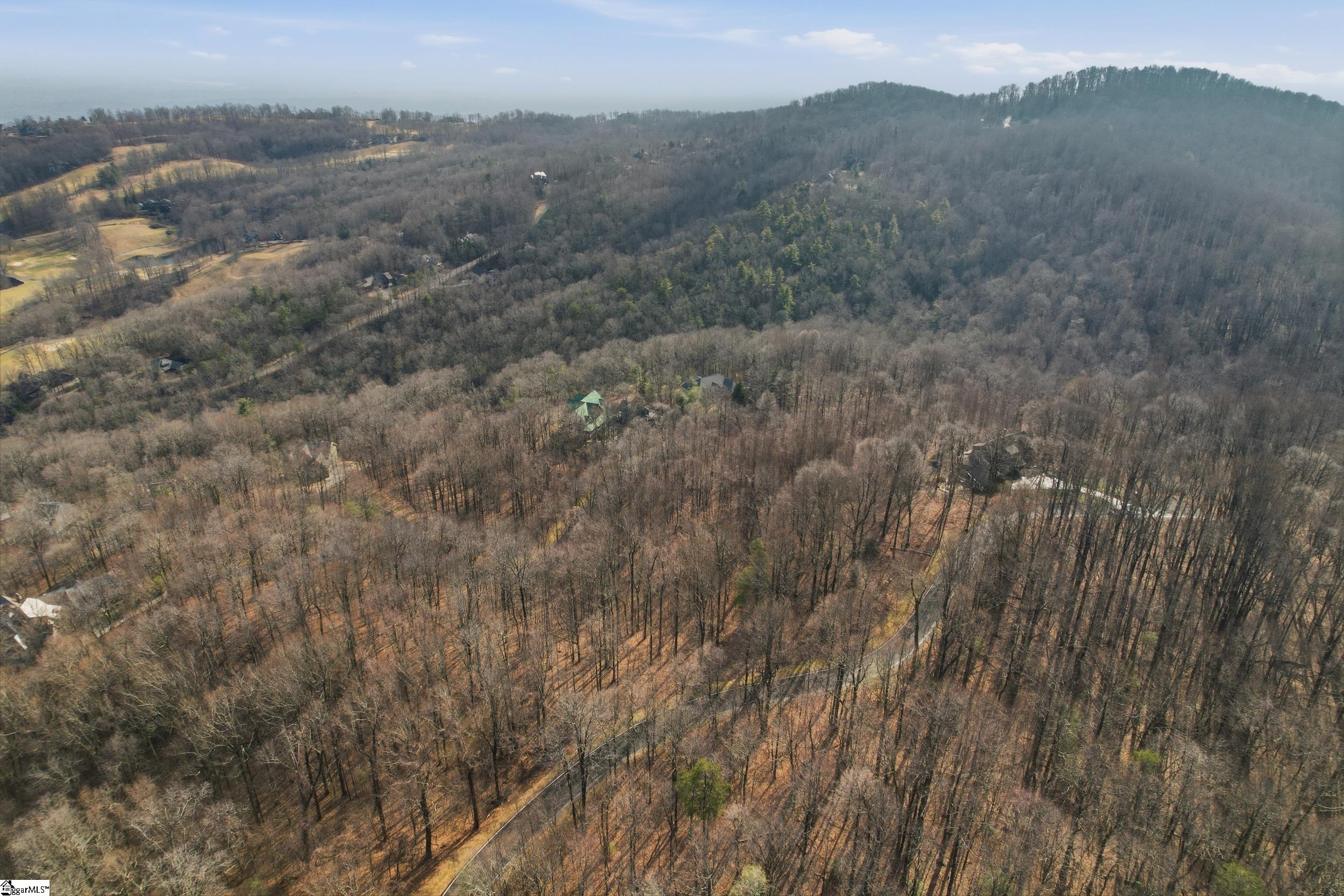 116 Witch Hazel Trail Property Photo 9