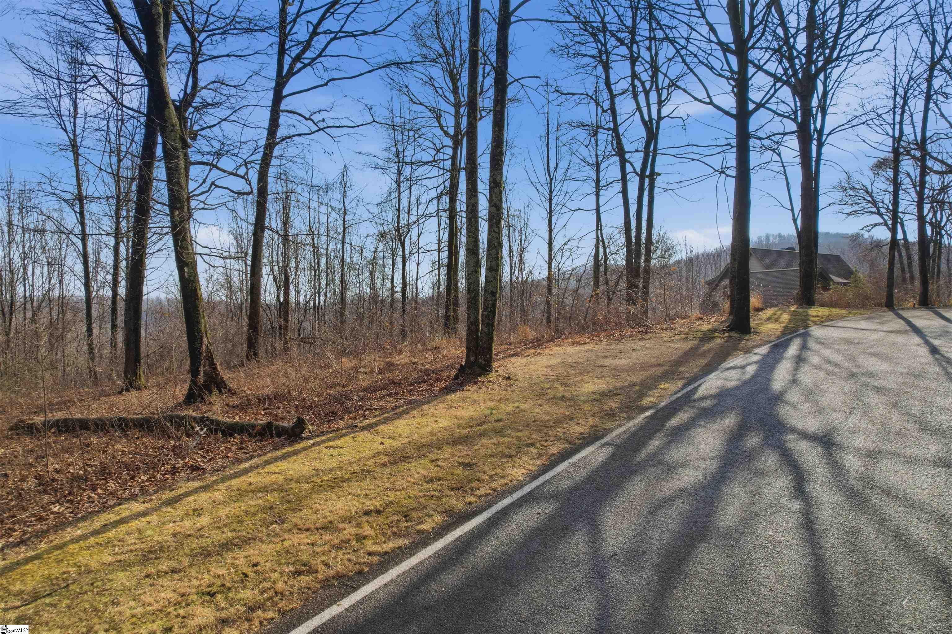 116 Witch Hazel Trail Property Photo 10