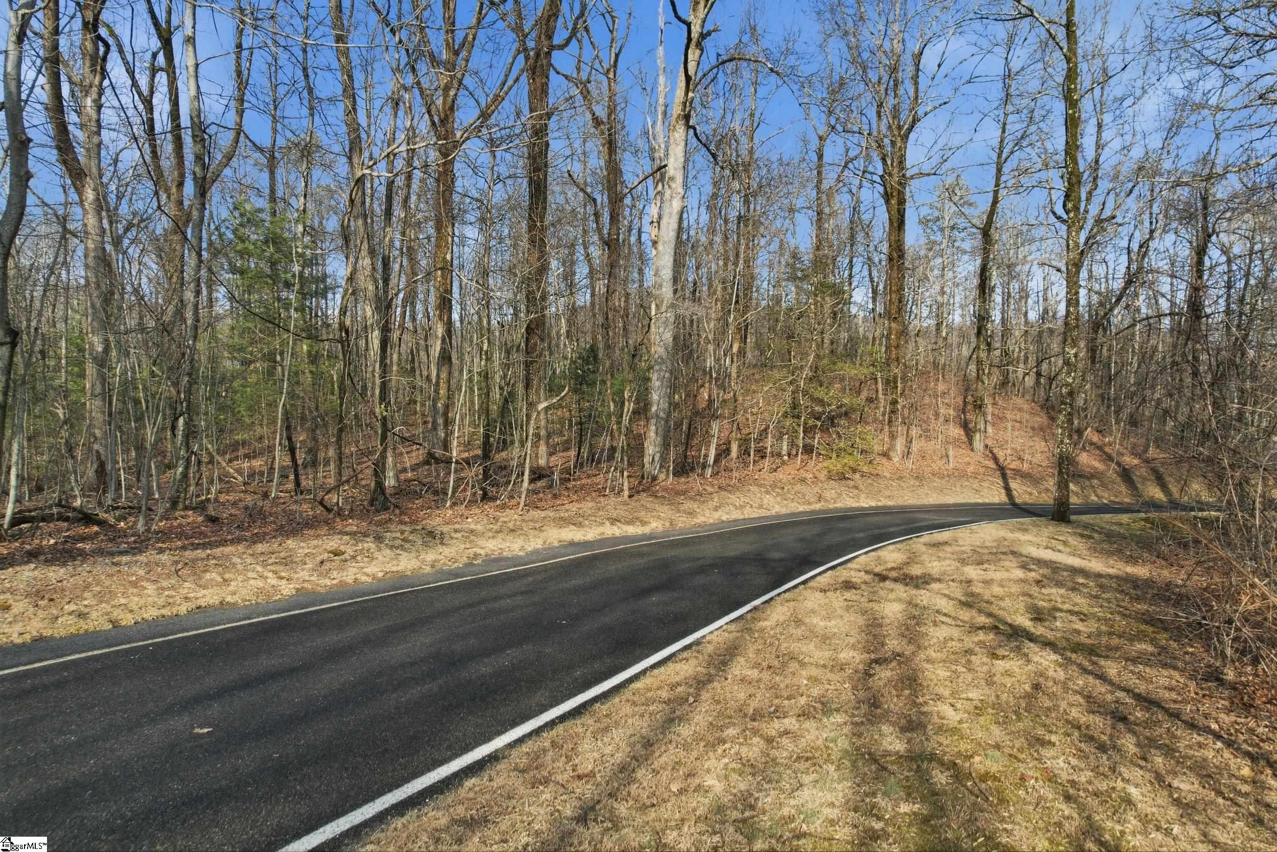 116 Witch Hazel Trail Property Photo 13