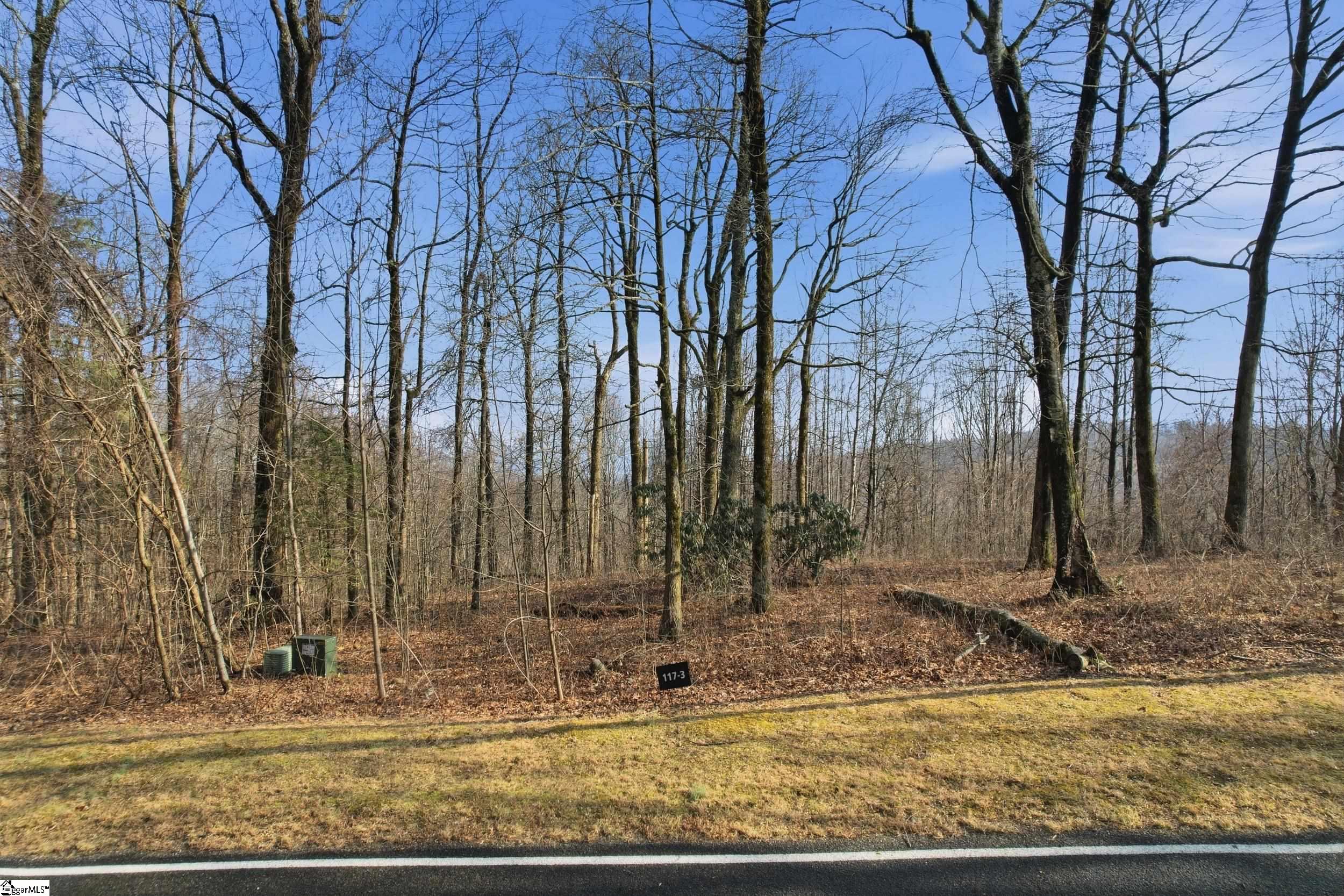 116 Witch Hazel Trail Property Photo 14