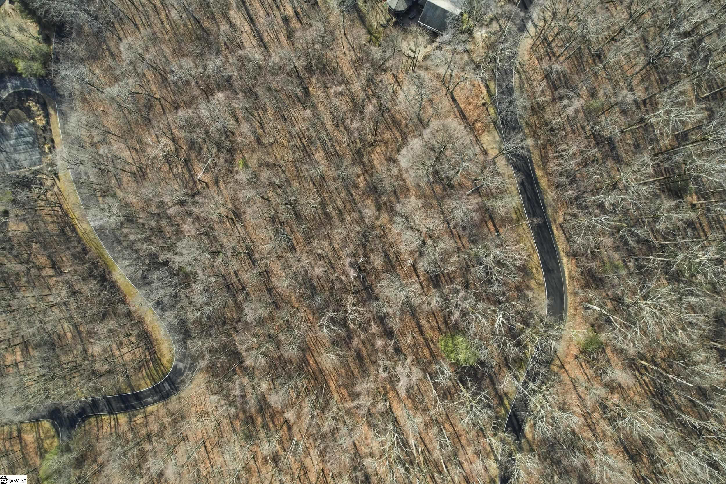 116 Witch Hazel Trail Property Photo 17