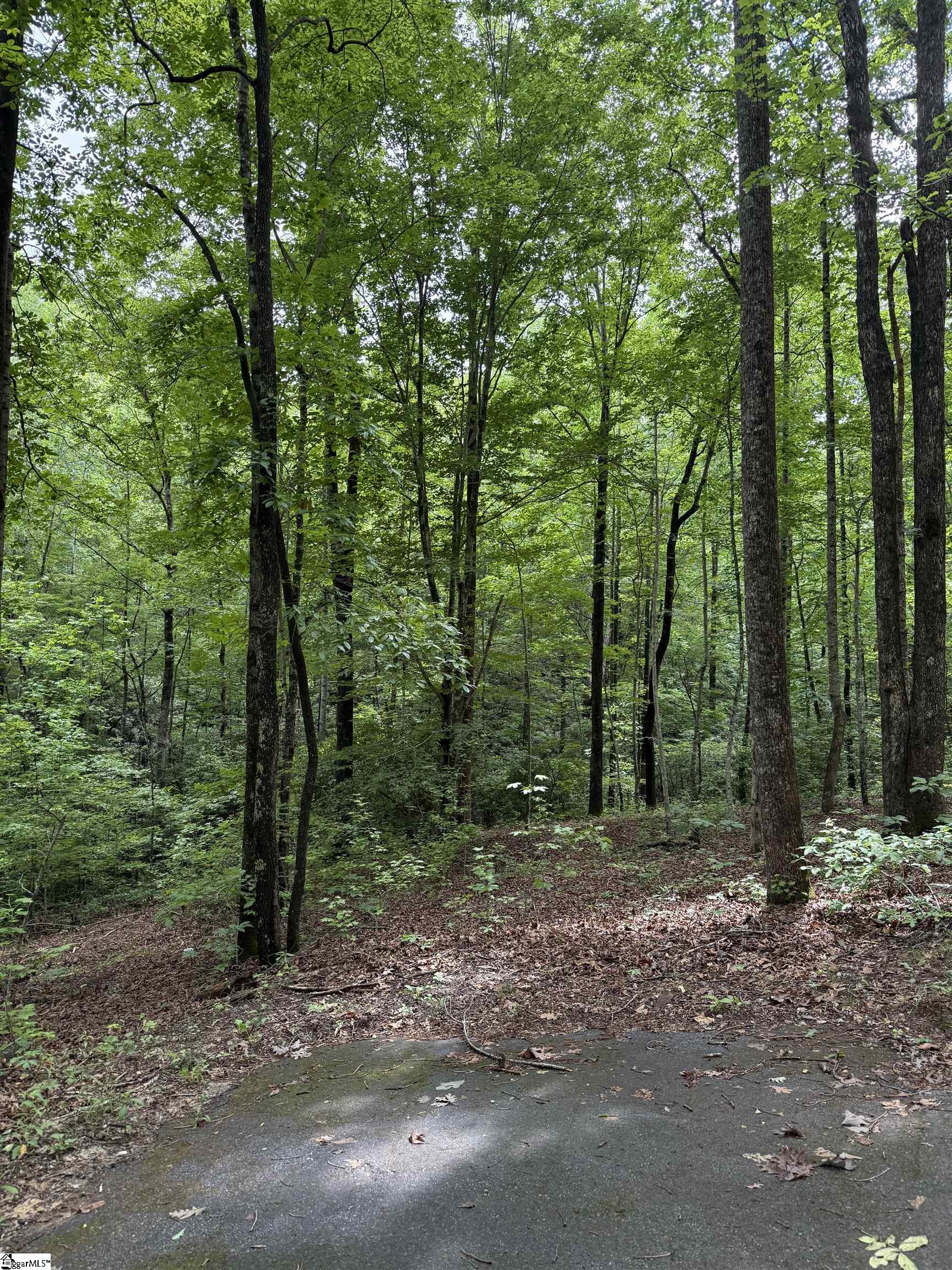 125 Cottage Side Trail Property Photo 2