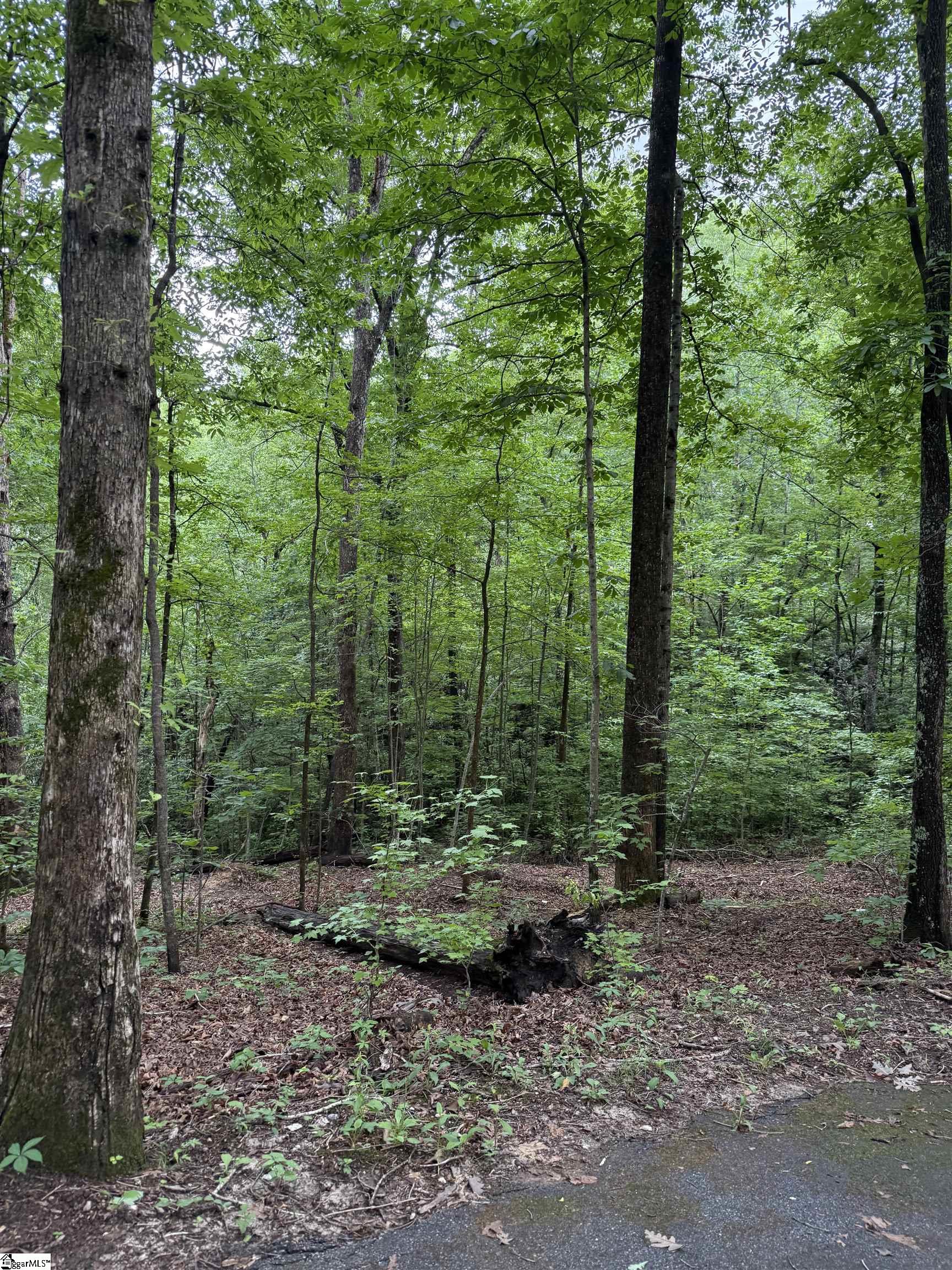 125 Cottage Side Trail Property Photo 3