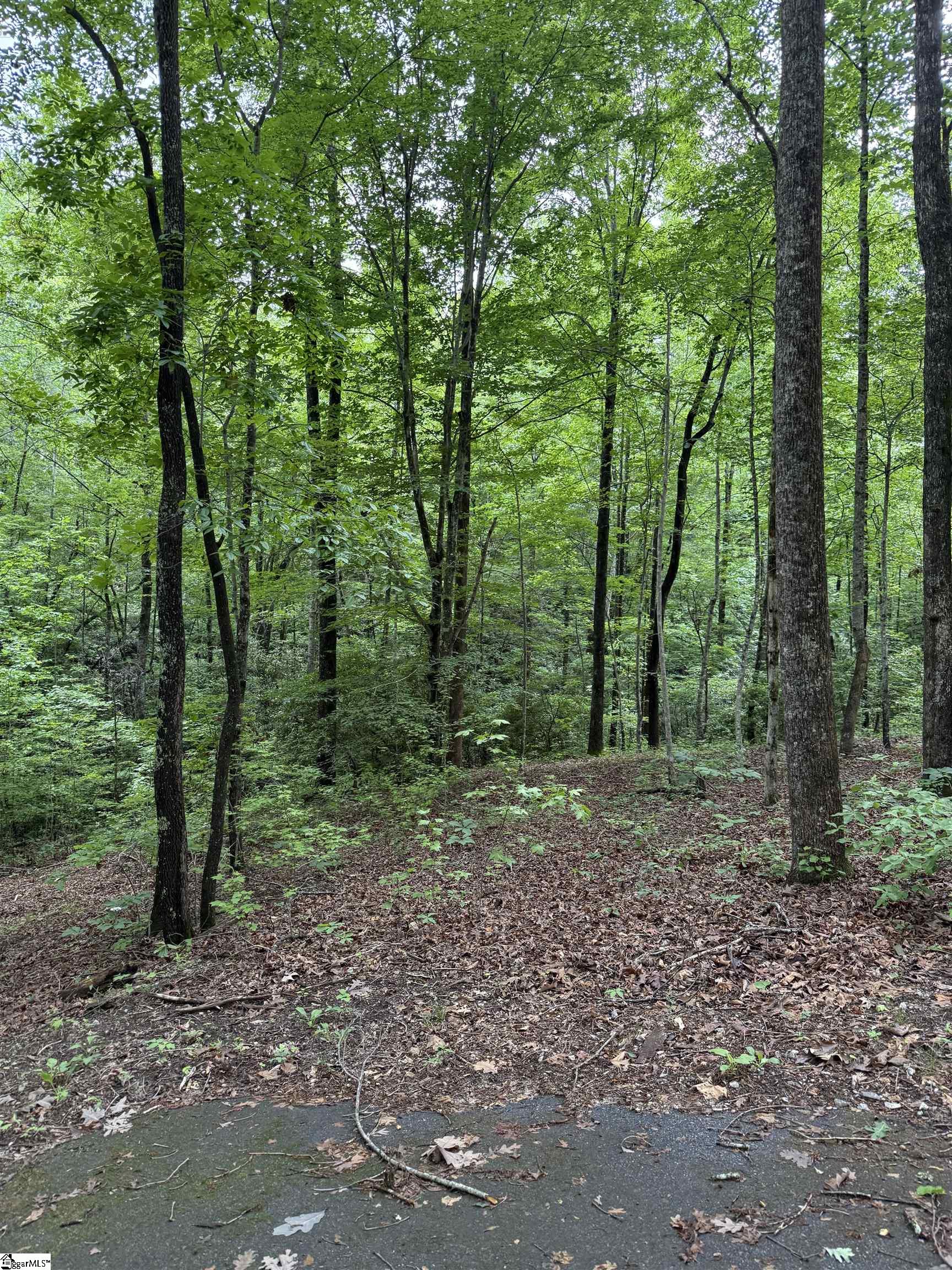 125 Cottage Side Trail Property Photo 4