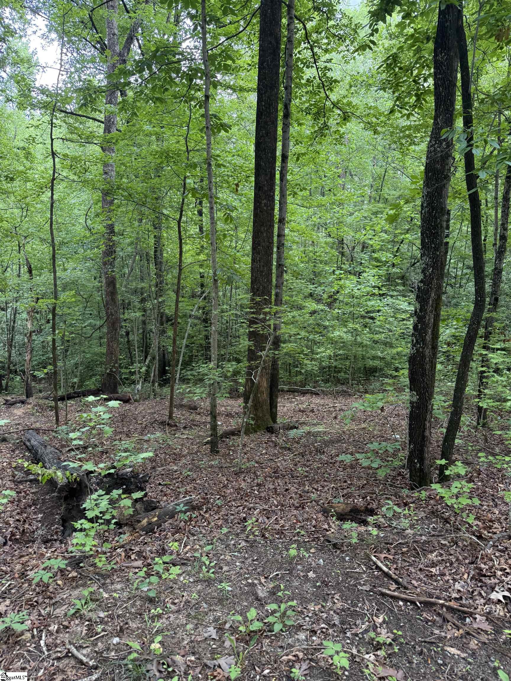 125 Cottage Side Trail Property Photo 5