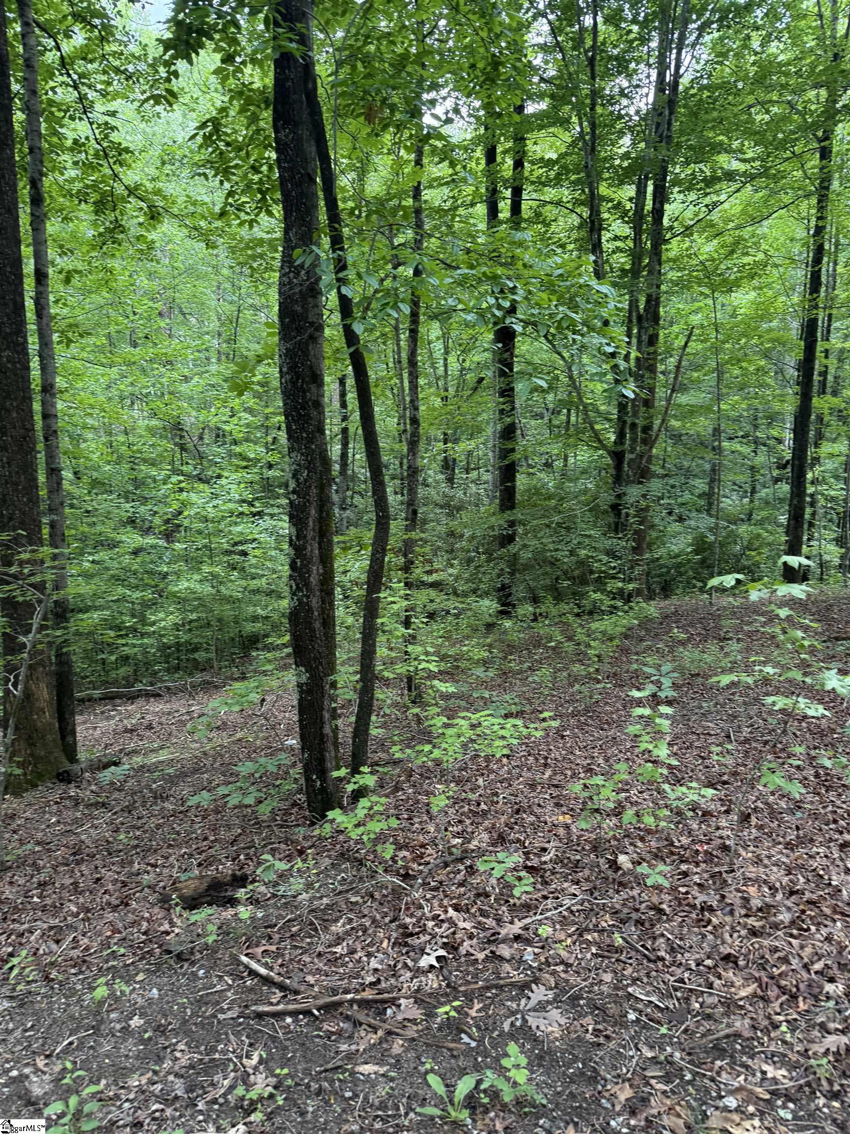 125 Cottage Side Trail Property Photo 6