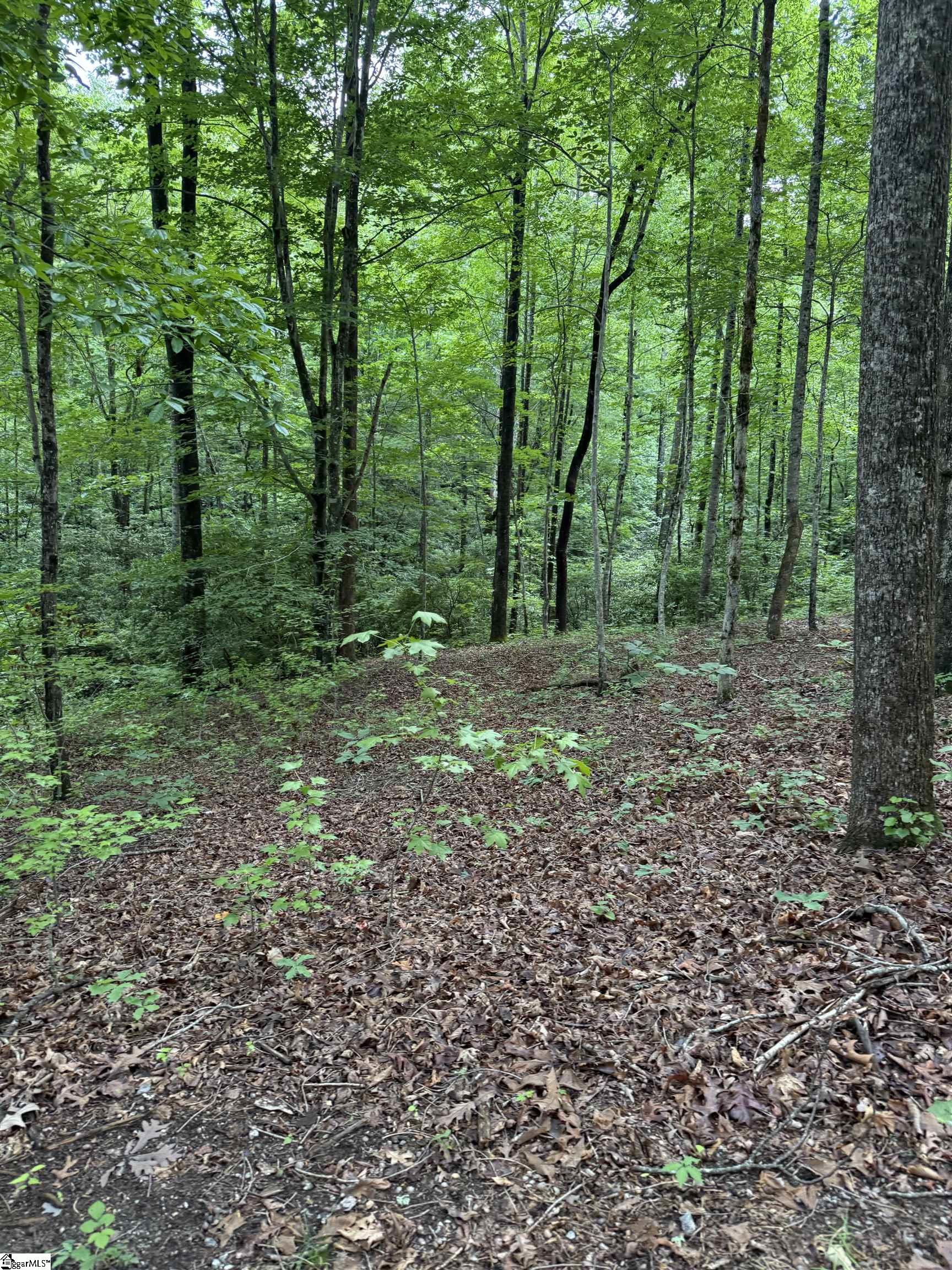 125 Cottage Side Trail Property Photo 7