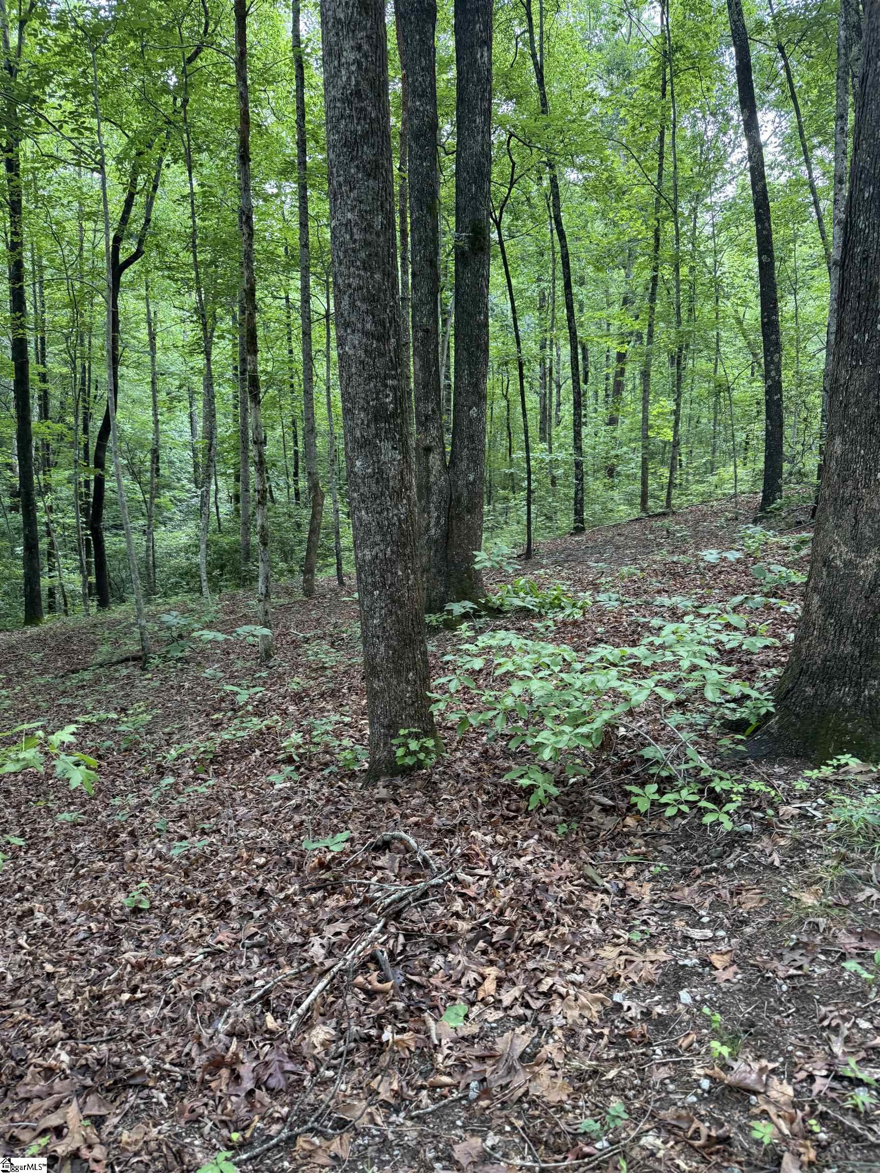 125 Cottage Side Trail Property Photo 8
