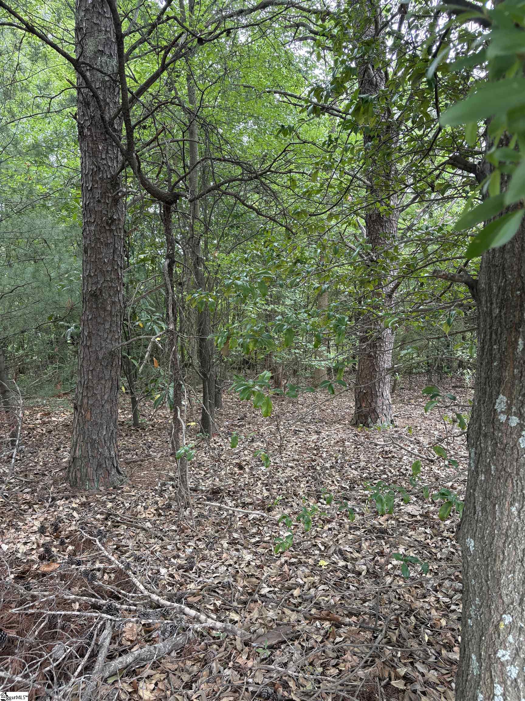 806 Mike Circle Property Photo 20