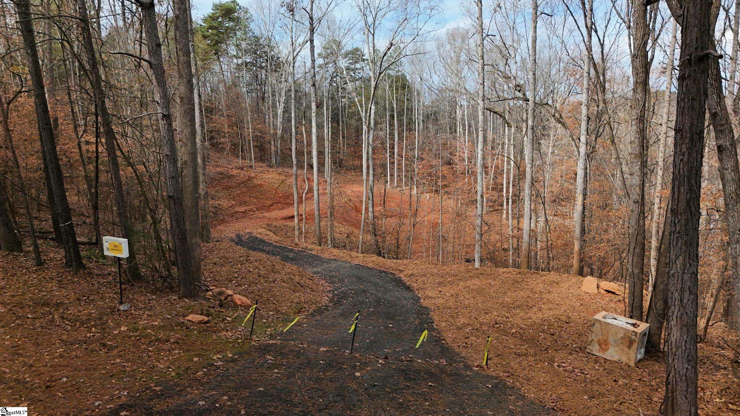 207 Loblolly Pine Drive Property Photo 4