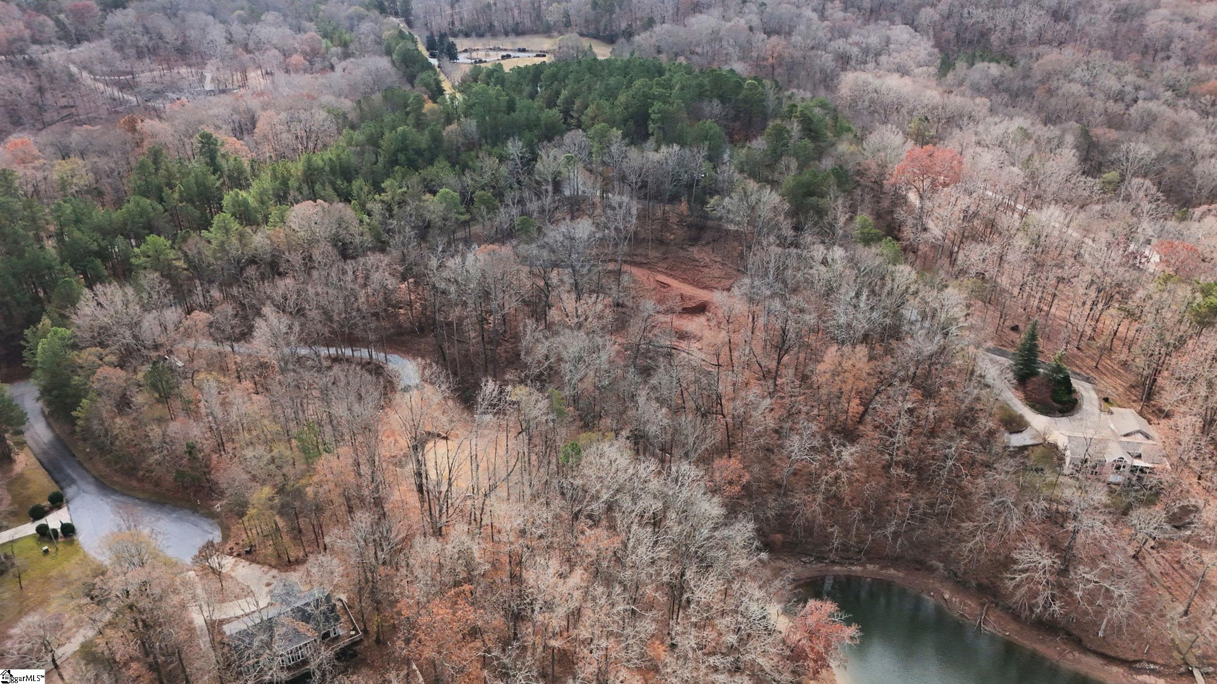 207 Loblolly Pine Drive Property Photo 11