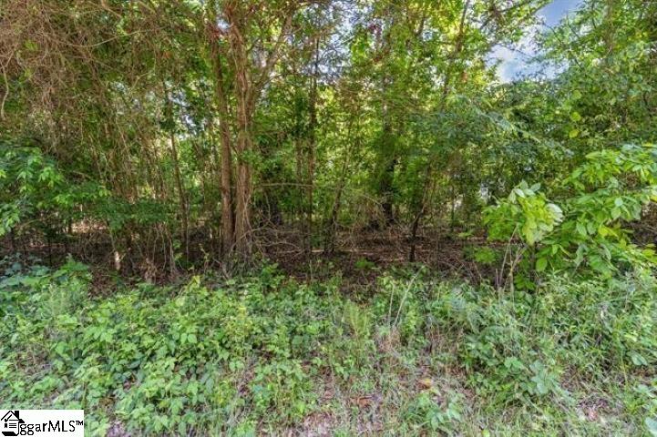 228 Hickory Ridge Road Property Photo 3