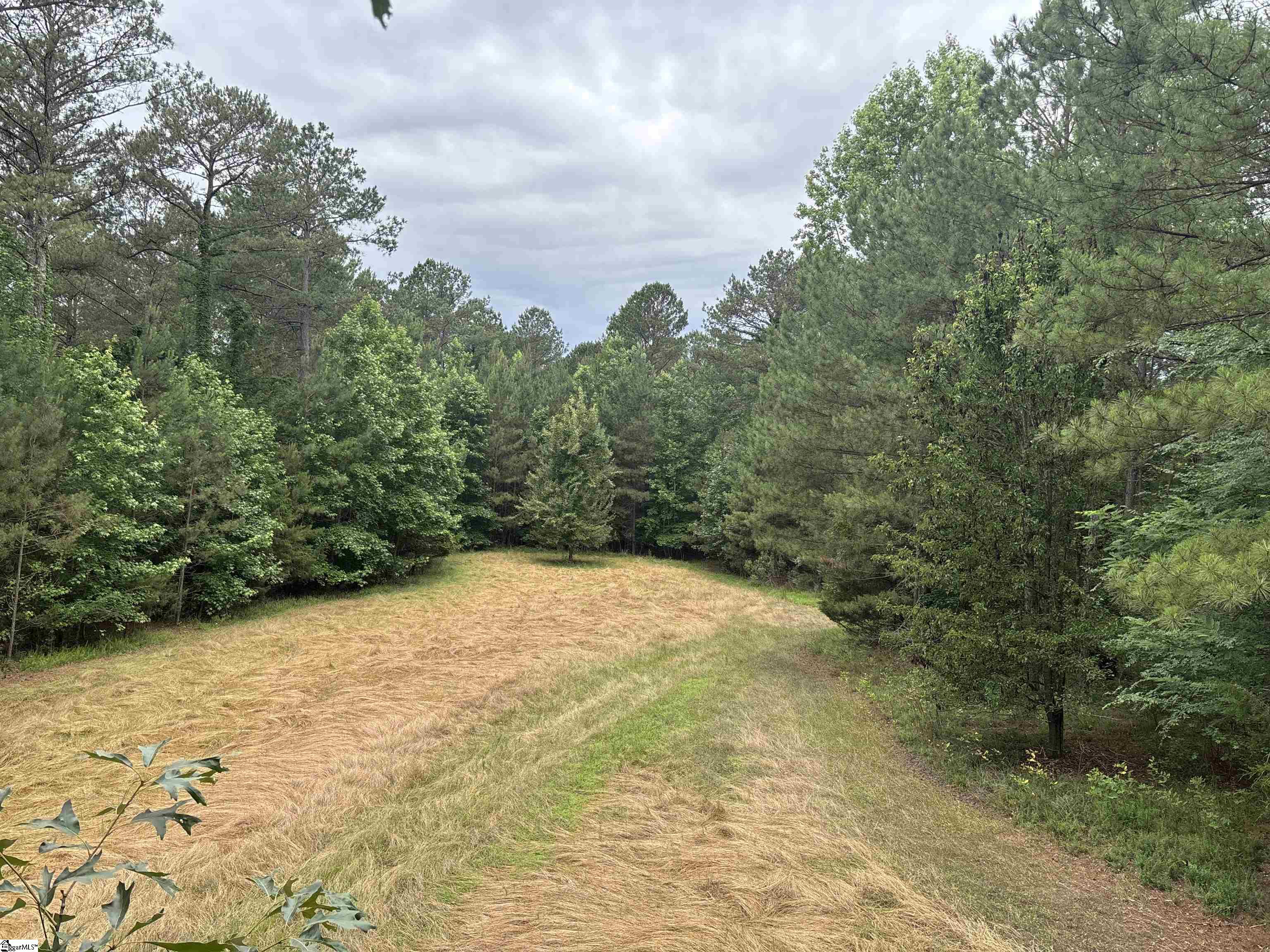 1087 Bobby Faucette Road Property Photo 2