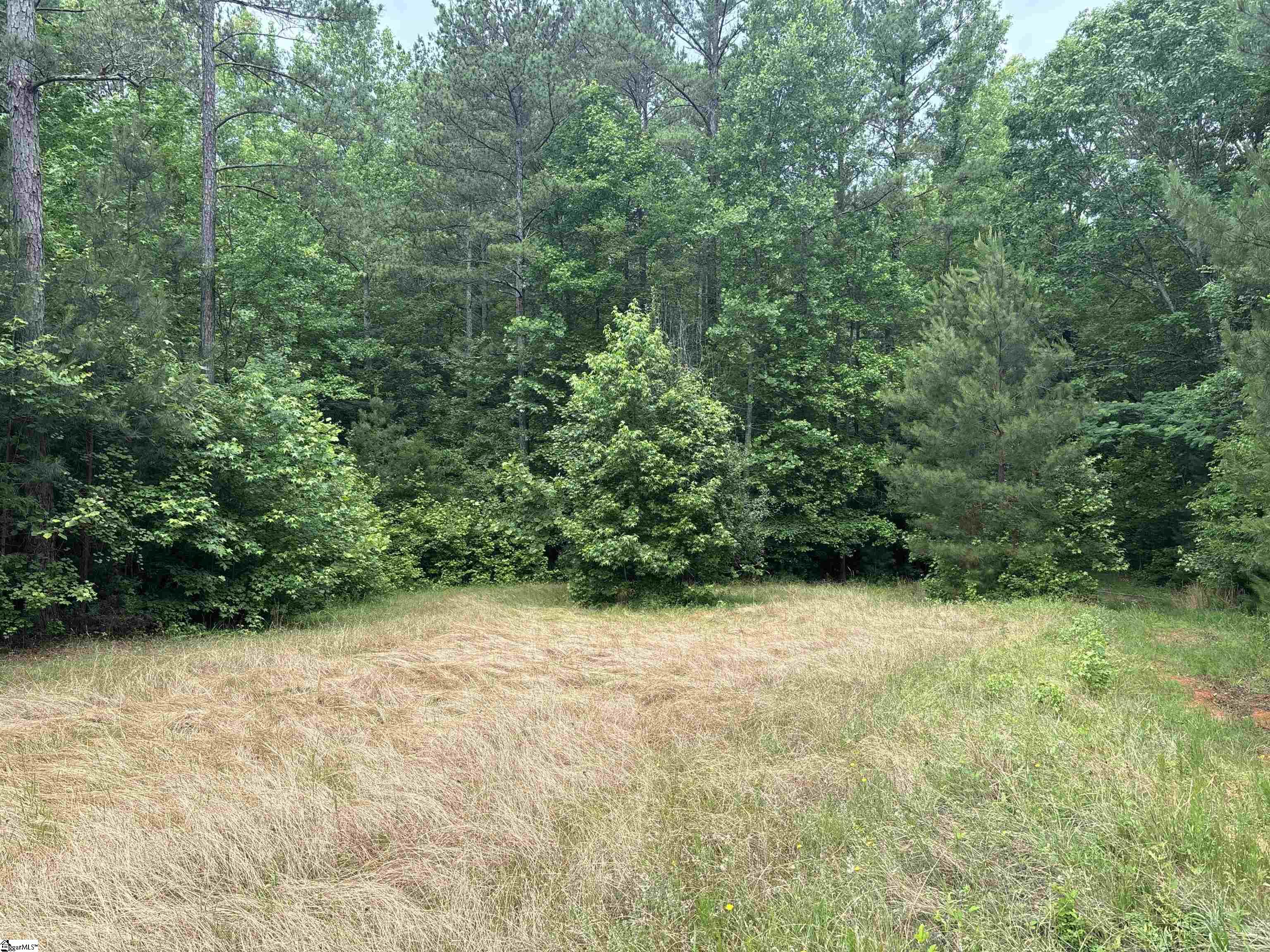 1087 Bobby Faucette Road Property Photo 3