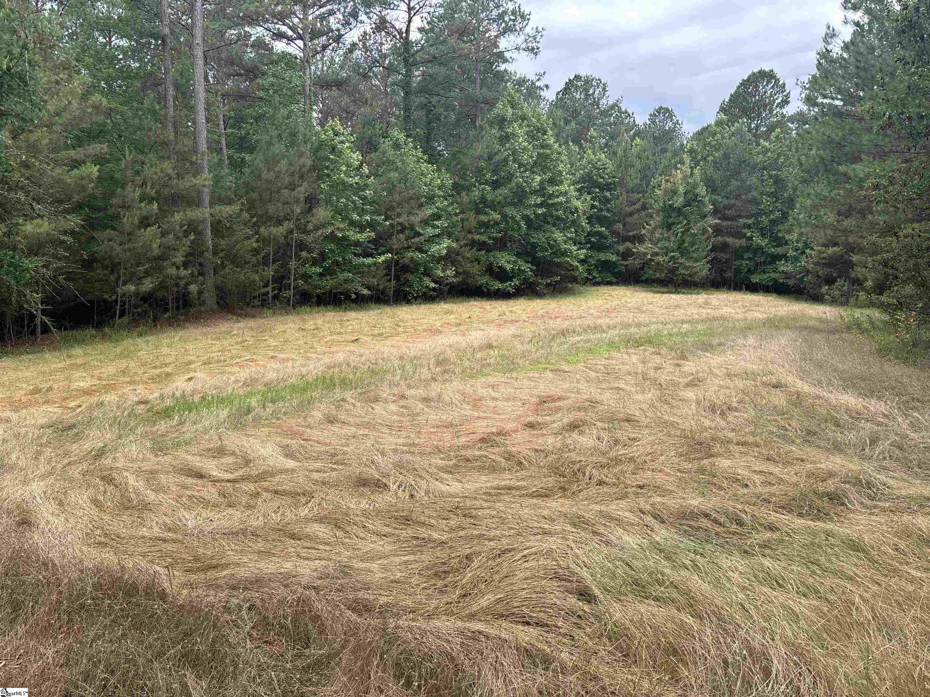 1087 Bobby Faucette Road Property Photo 4