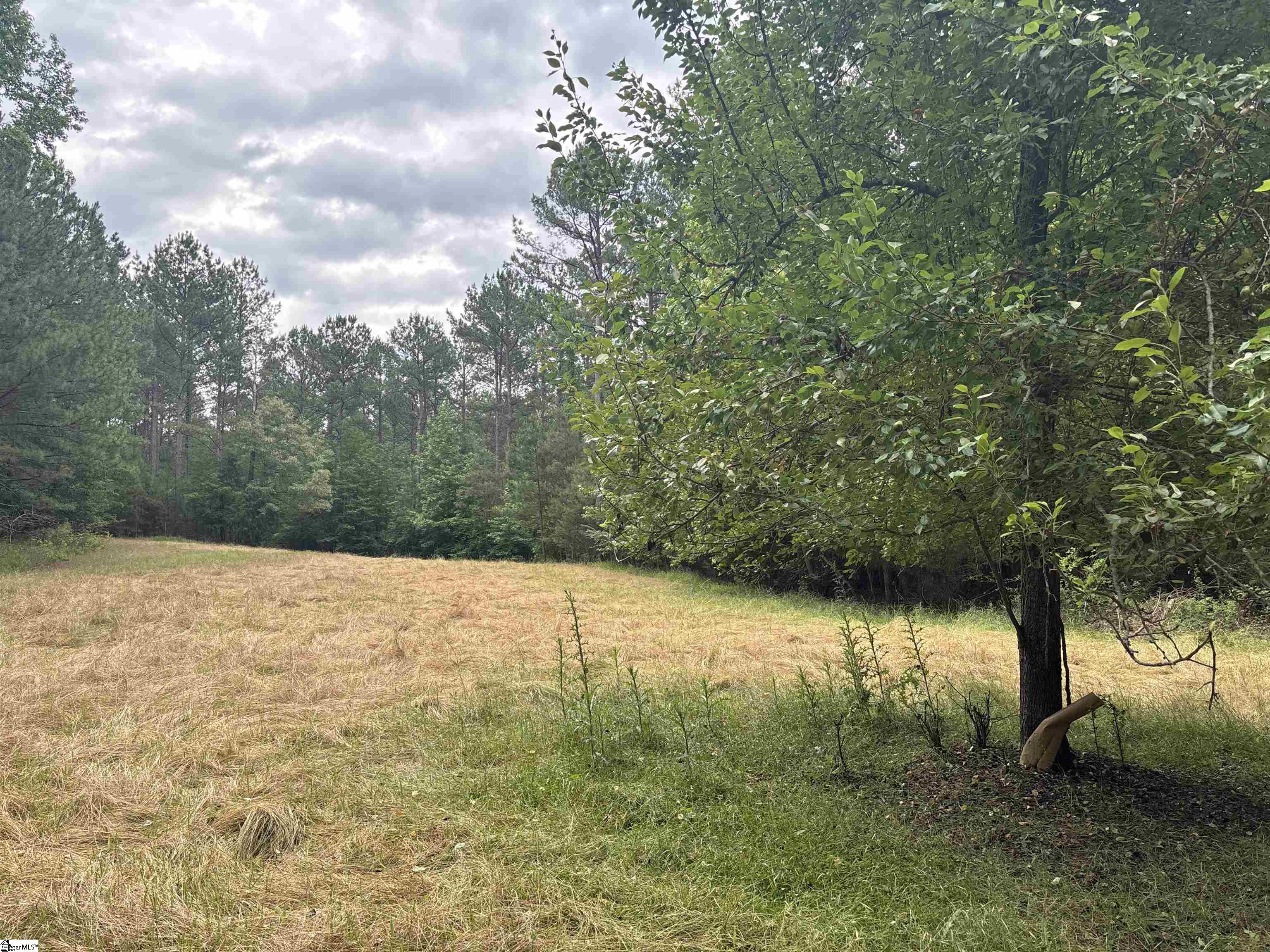 1087 Bobby Faucette Road Property Photo 5