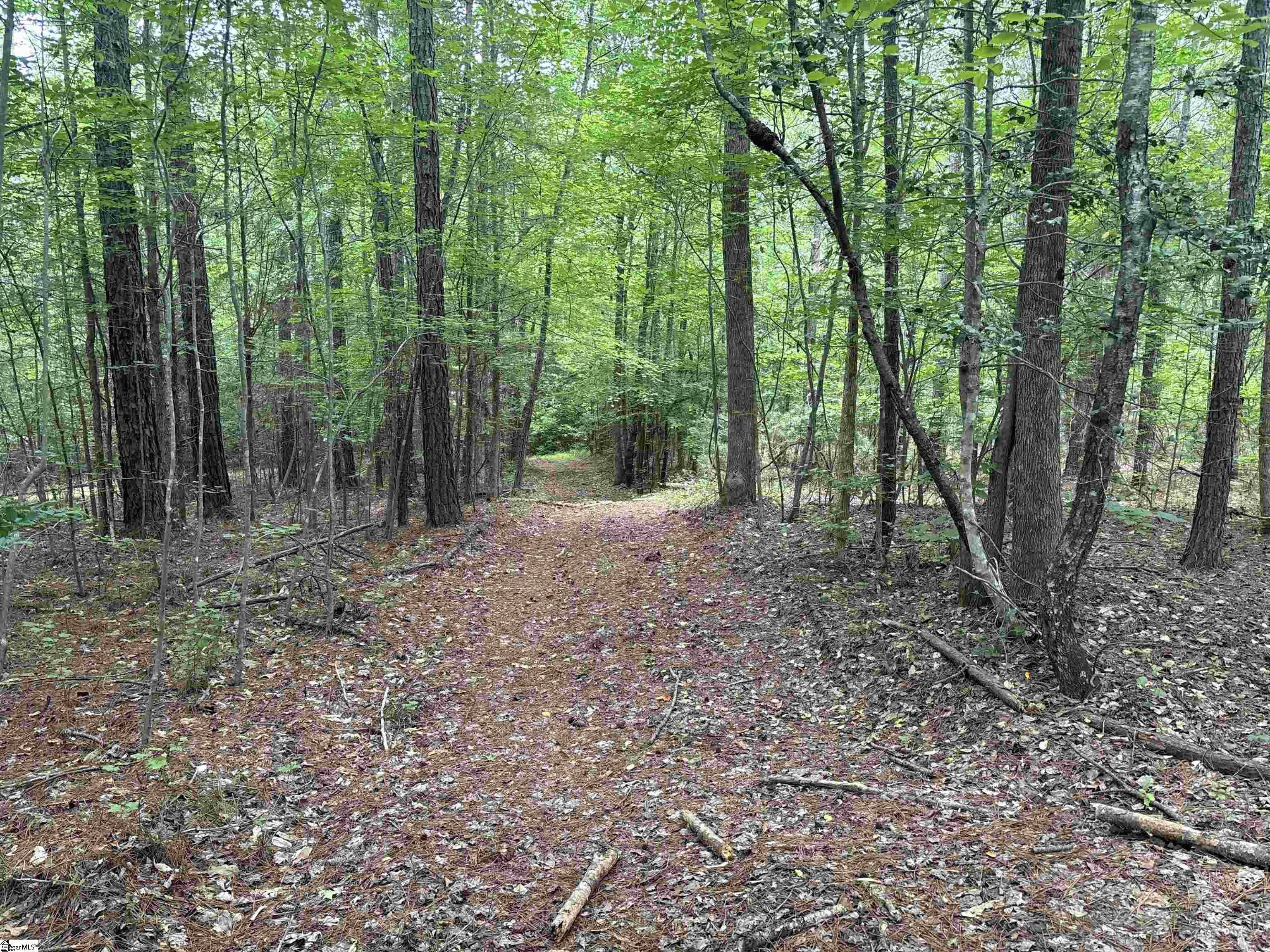 1087 Bobby Faucette Road Property Photo 6