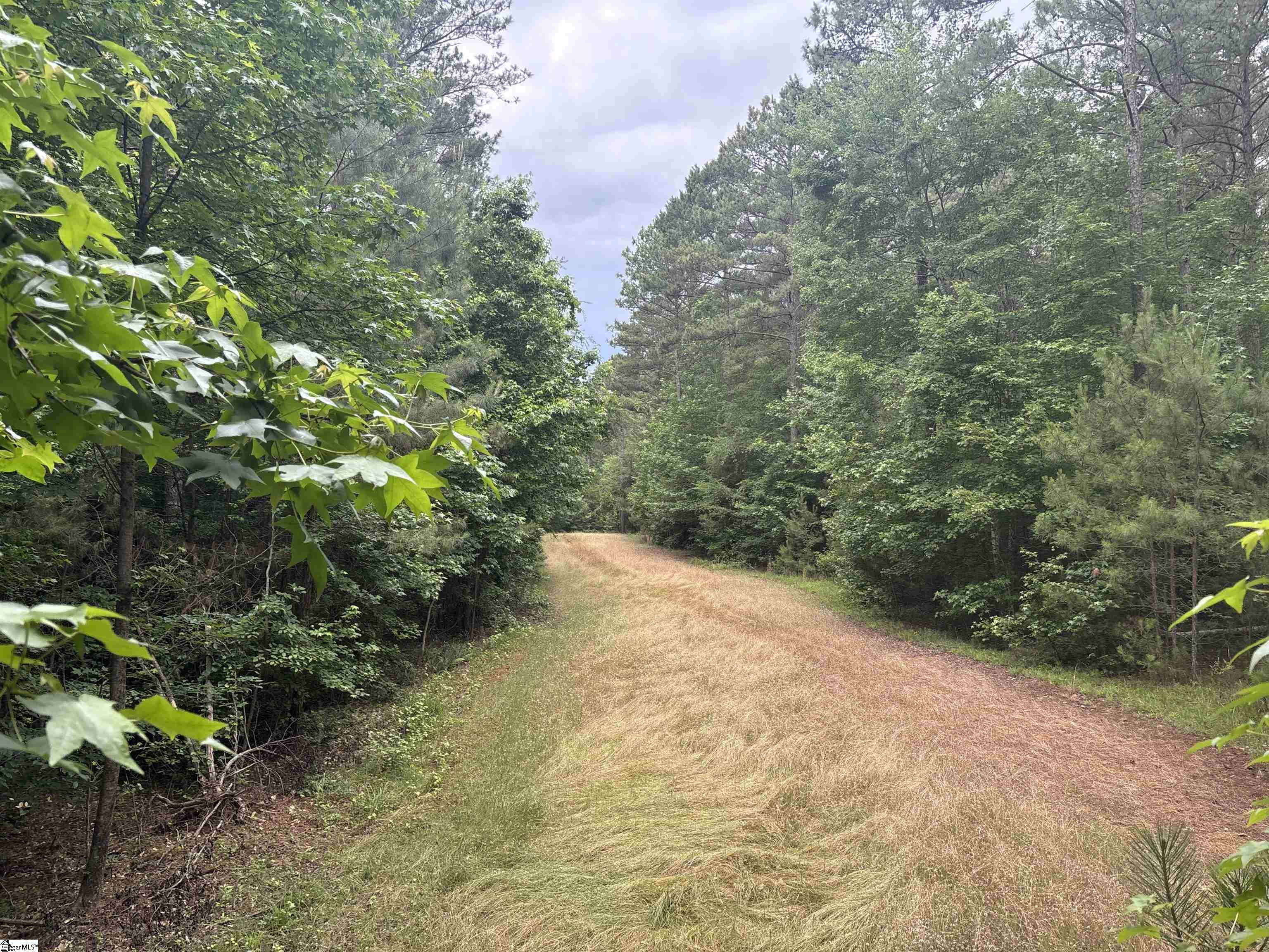 1087 Bobby Faucette Road Property Photo 7