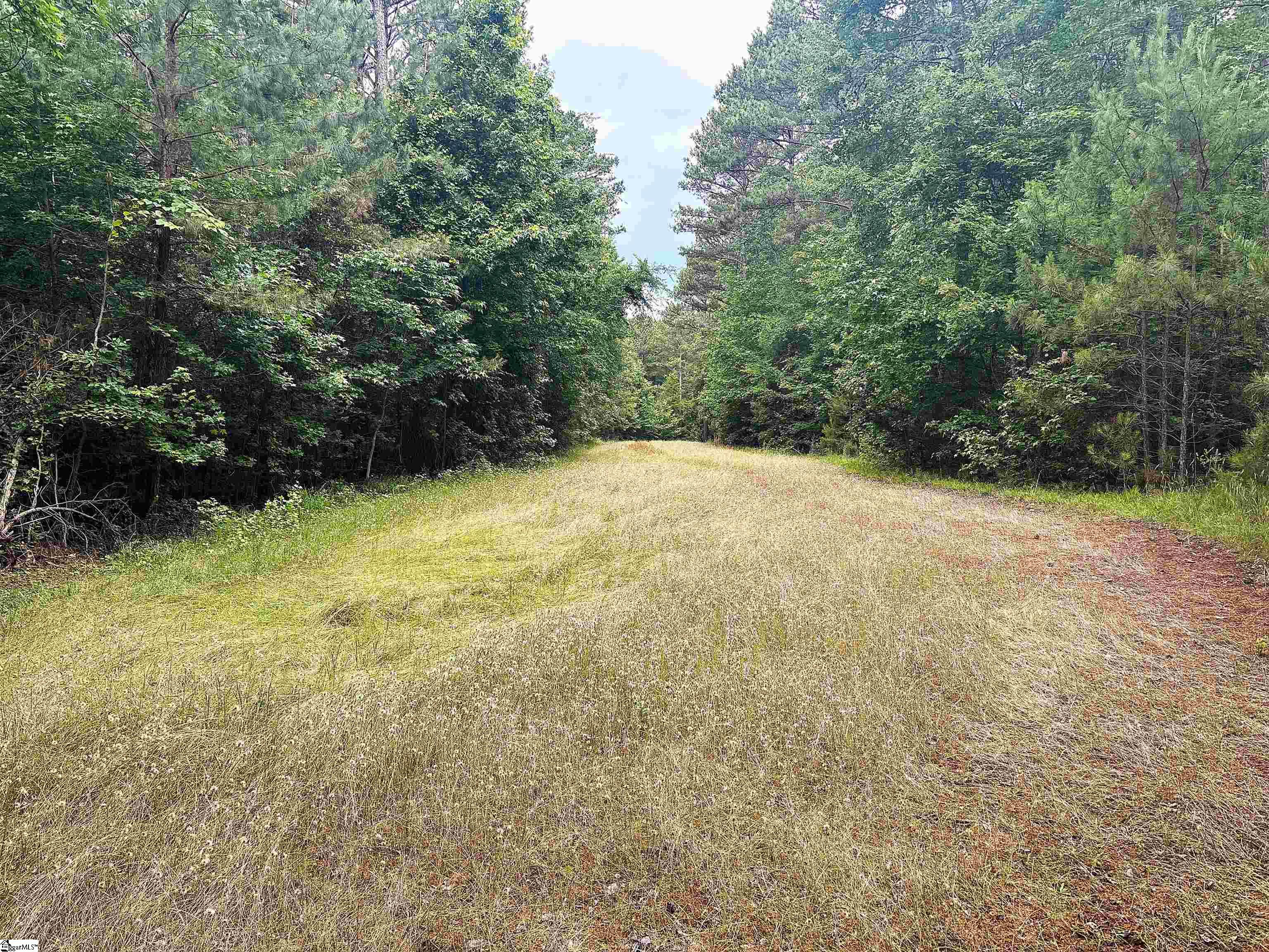 1087 Bobby Faucette Road Property Photo 8
