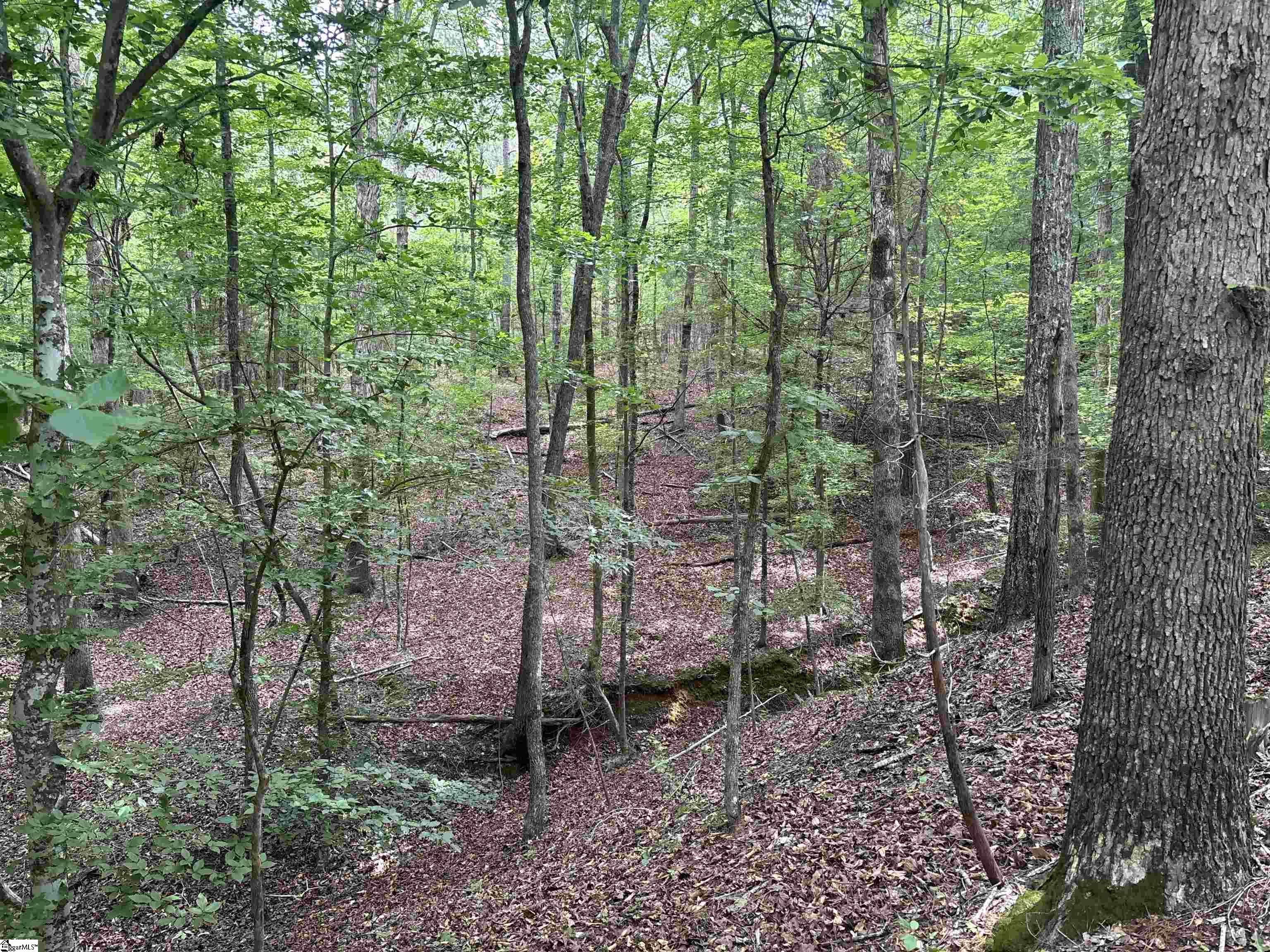 1087 Bobby Faucette Road Property Photo 11