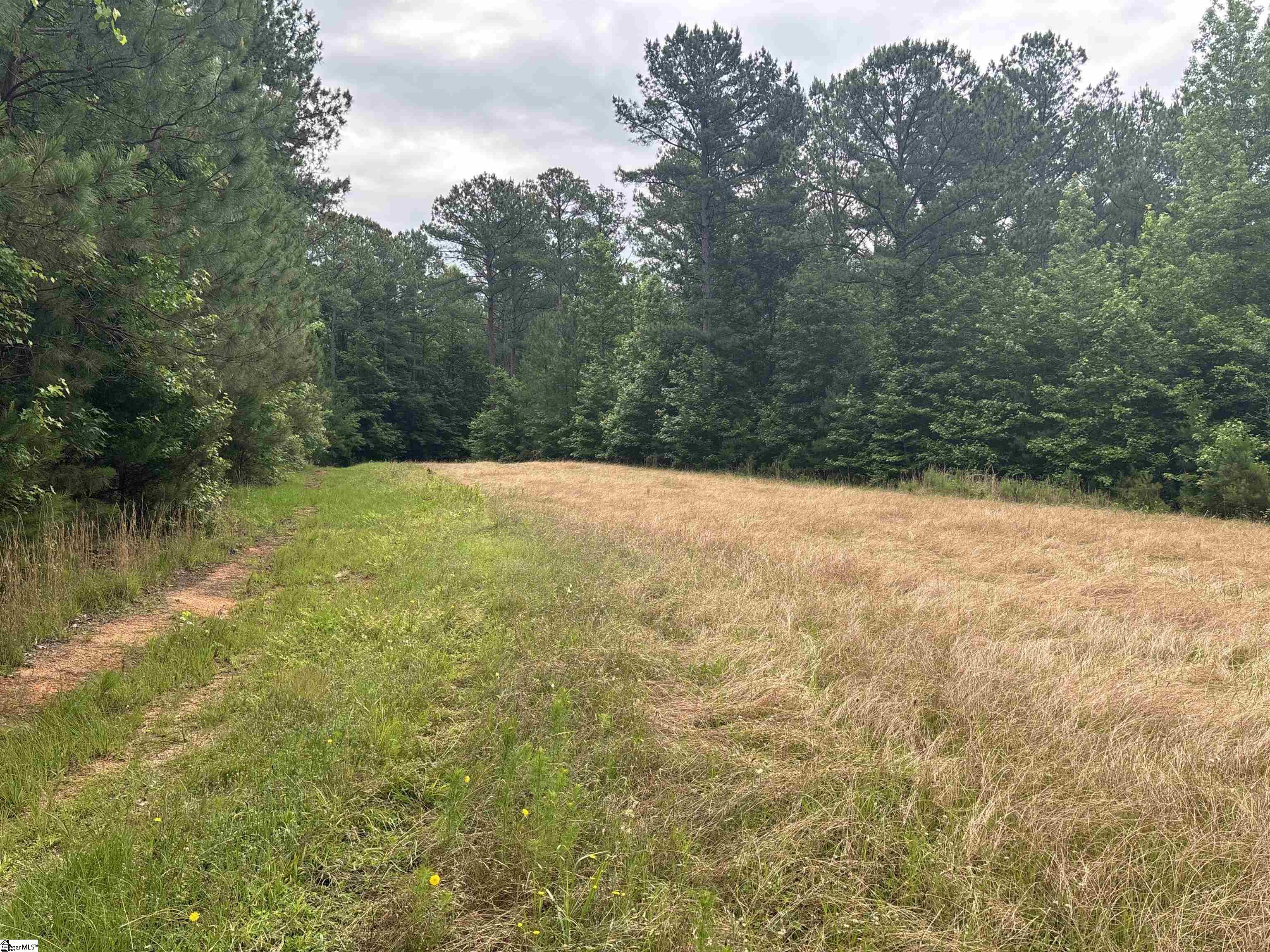 1087 Bobby Faucette Road Property Photo 12
