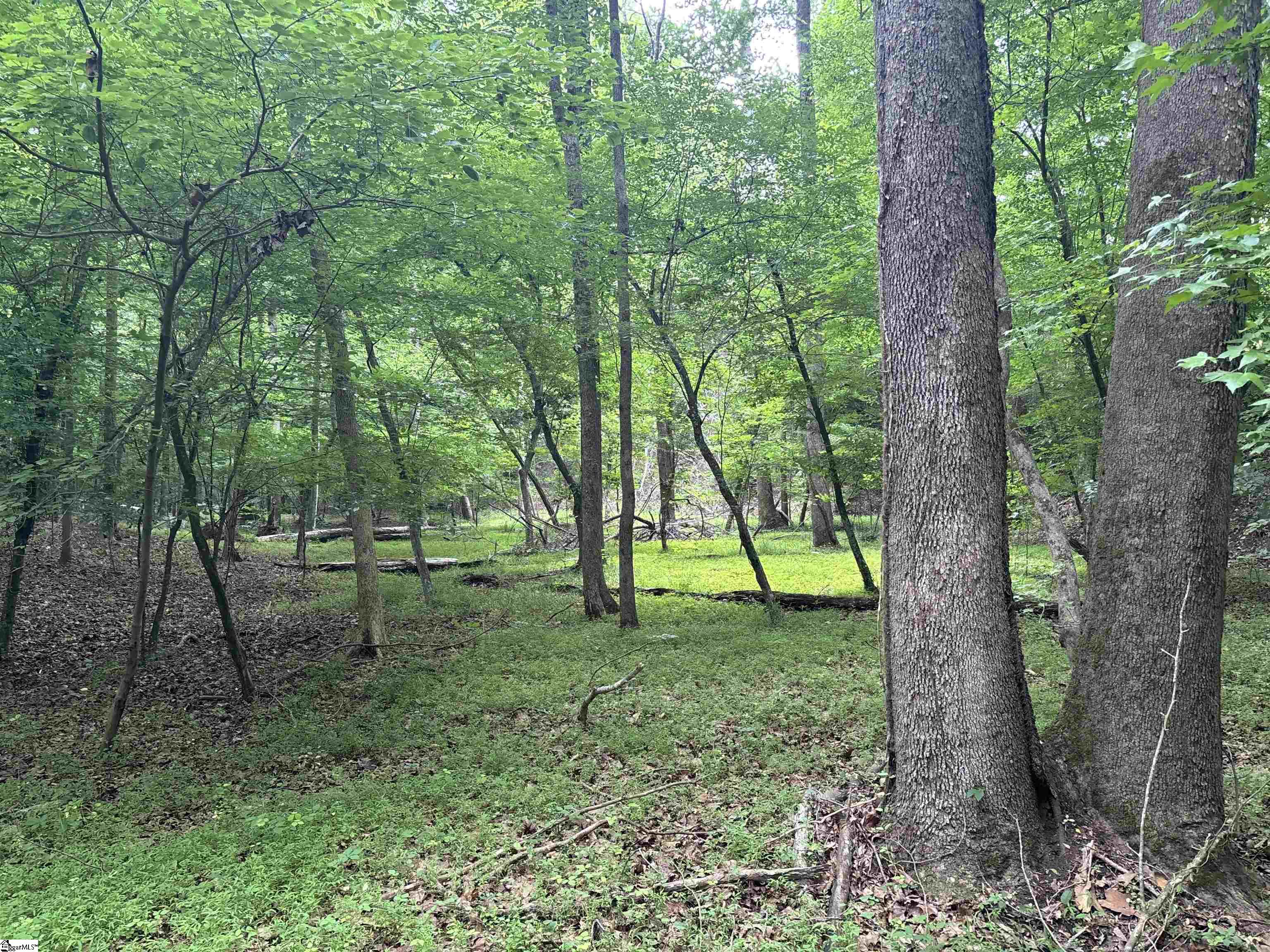 1087 Bobby Faucette Road Property Photo 15