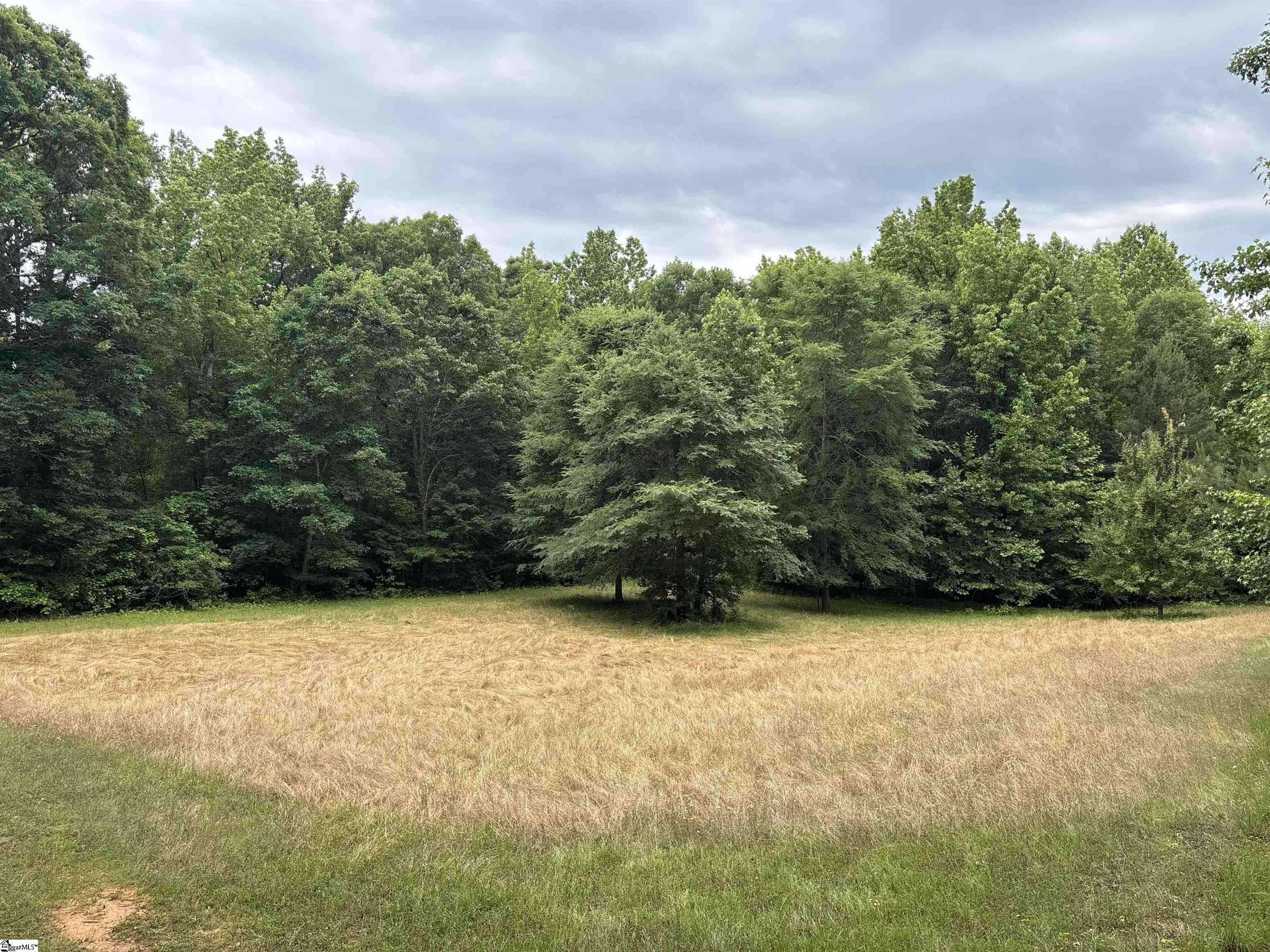 1087 Bobby Faucette Road Property Photo 16