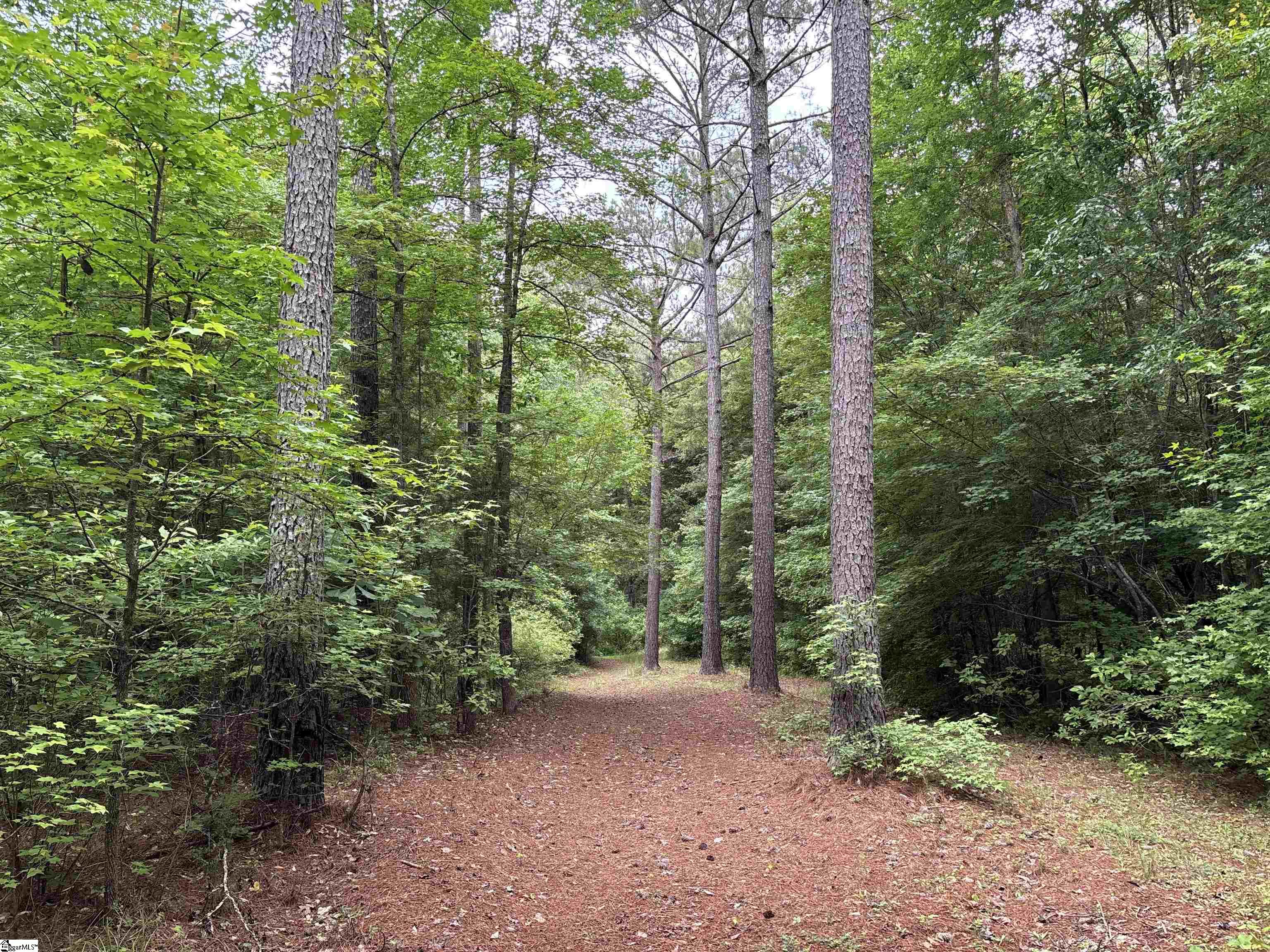 1087 Bobby Faucette Road Property Photo 18