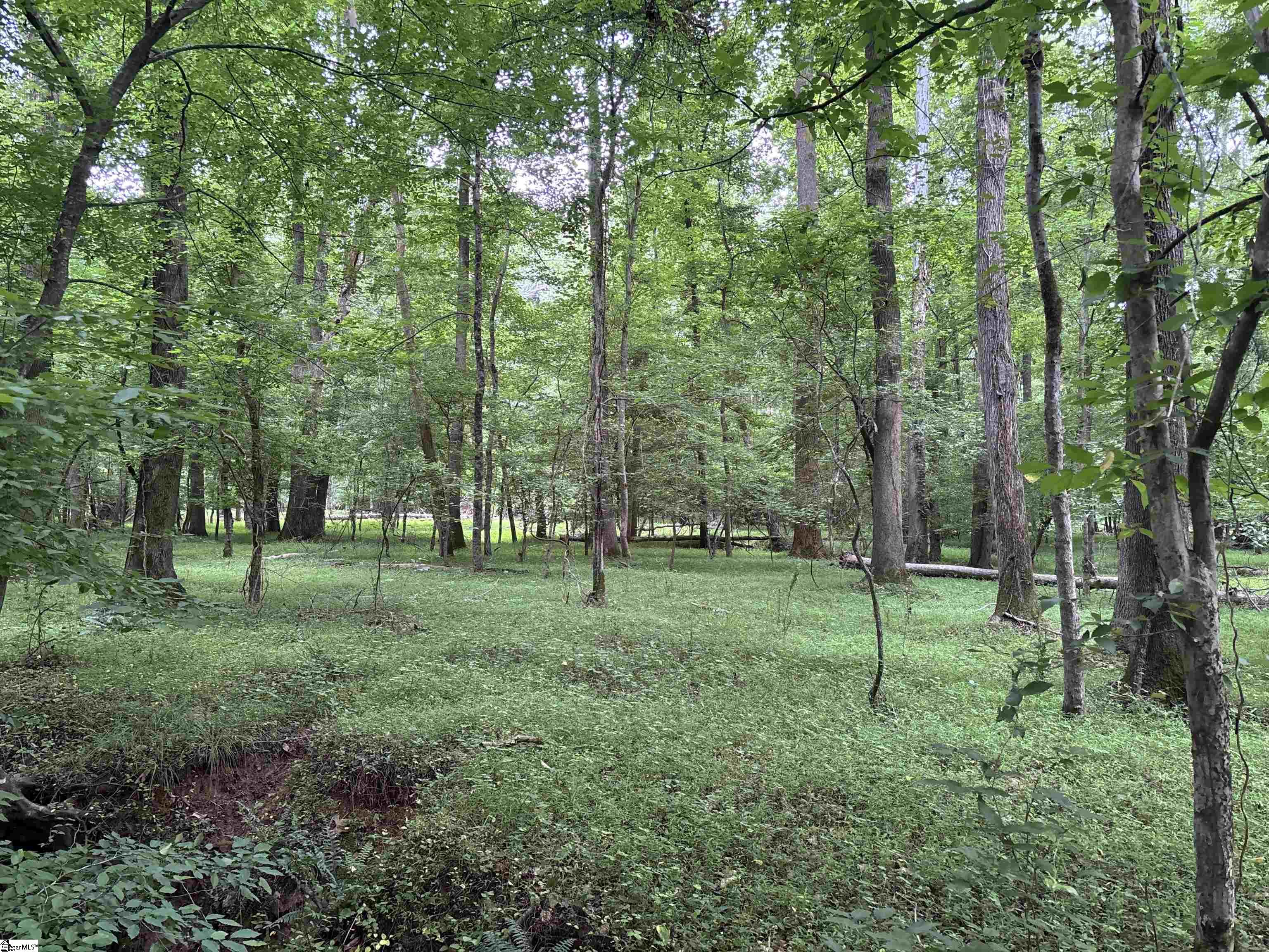 1087 Bobby Faucette Road Property Photo 21
