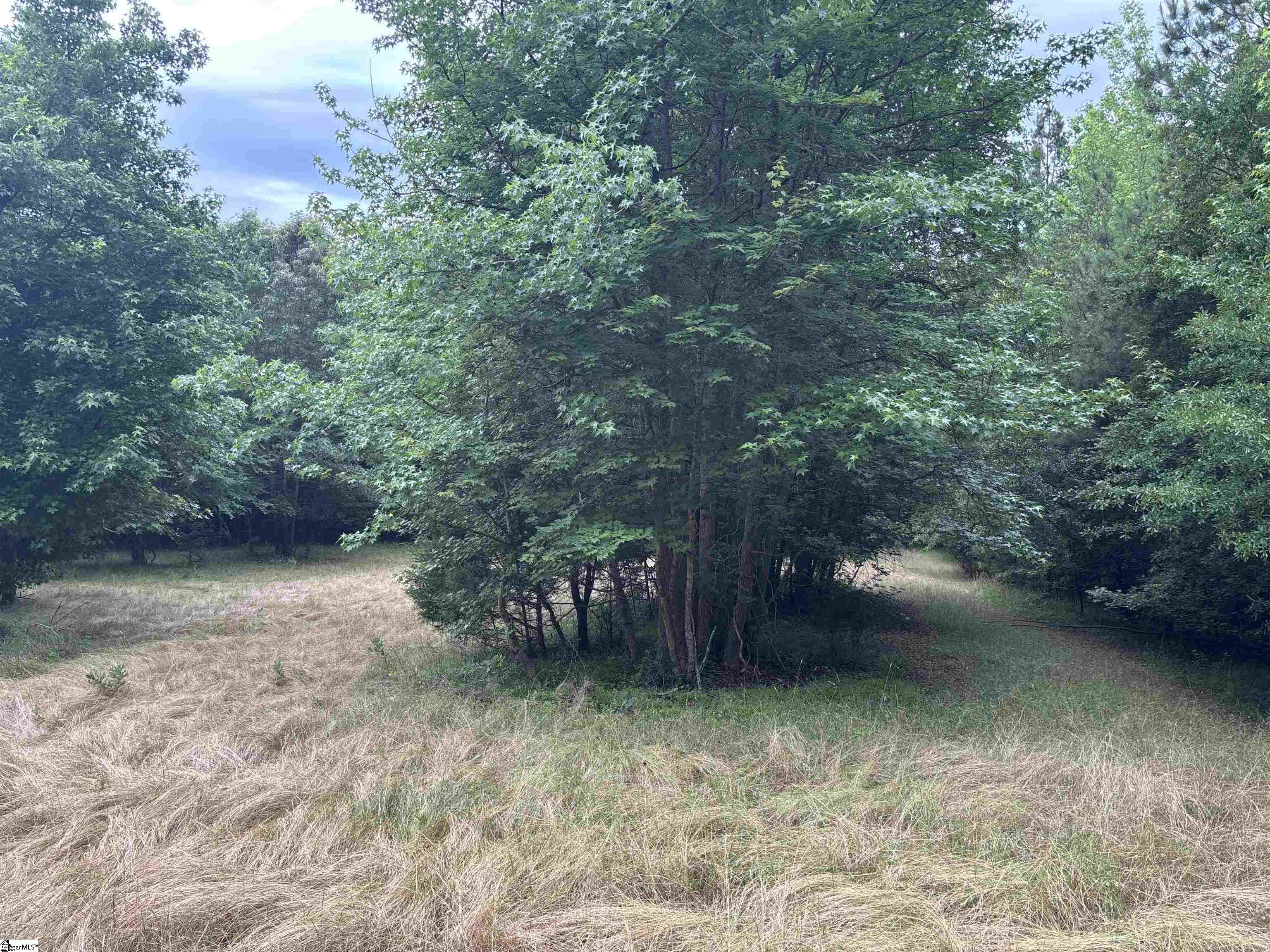 1087 Bobby Faucette Road Property Photo 23