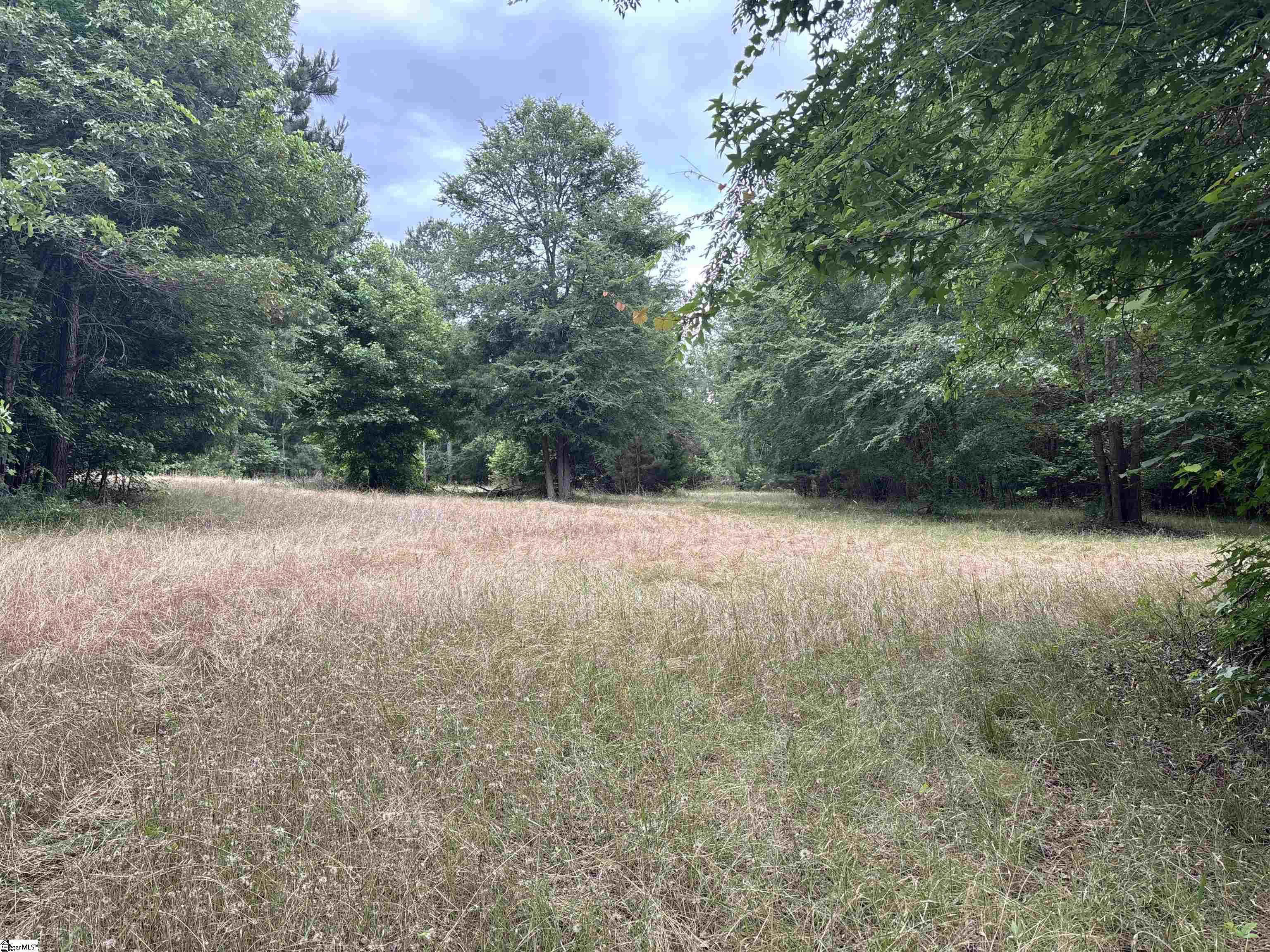 1087 Bobby Faucette Road Property Photo 25
