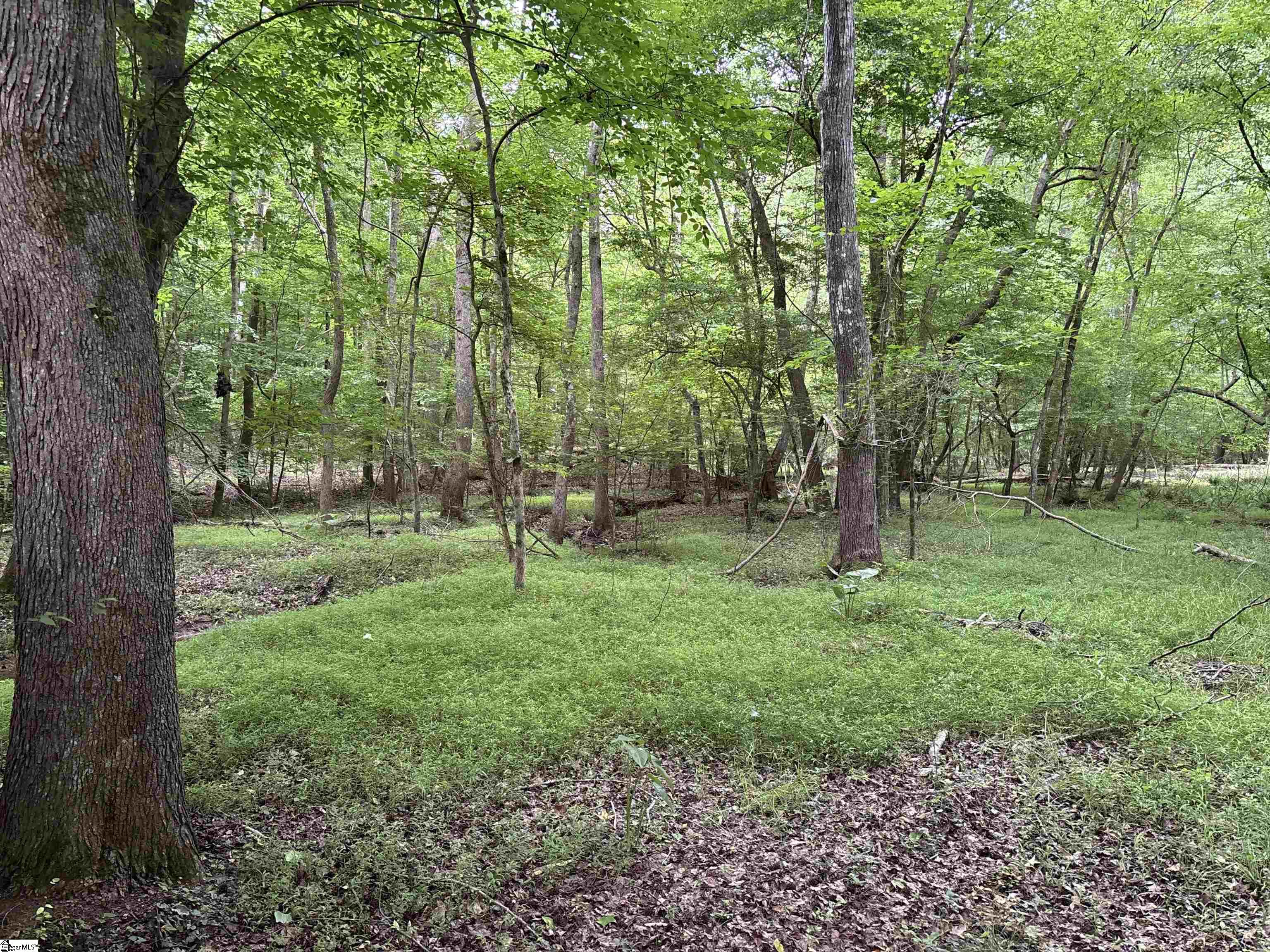 1087 Bobby Faucette Road Property Photo 28