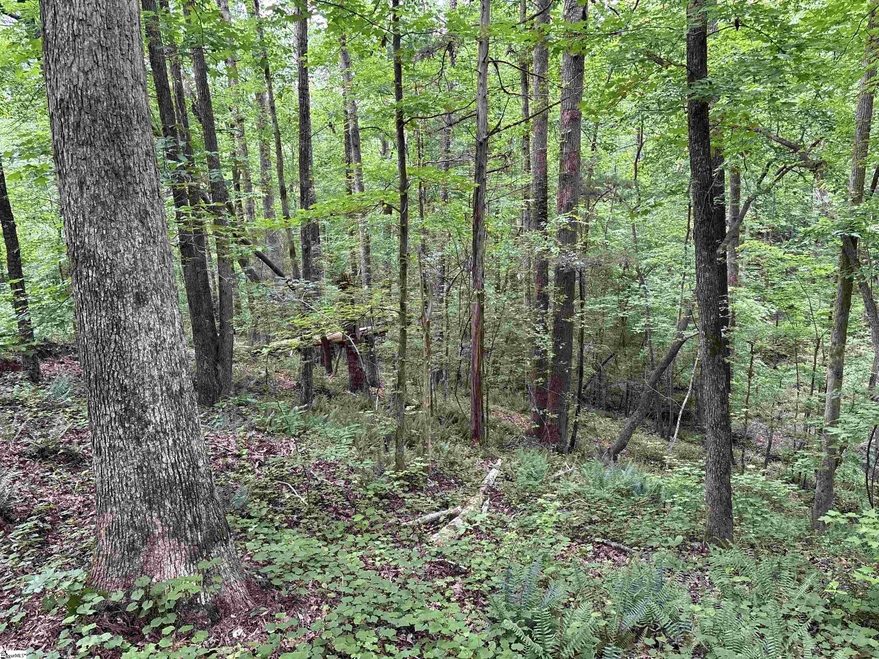 1087 Bobby Faucette Road Property Photo 33