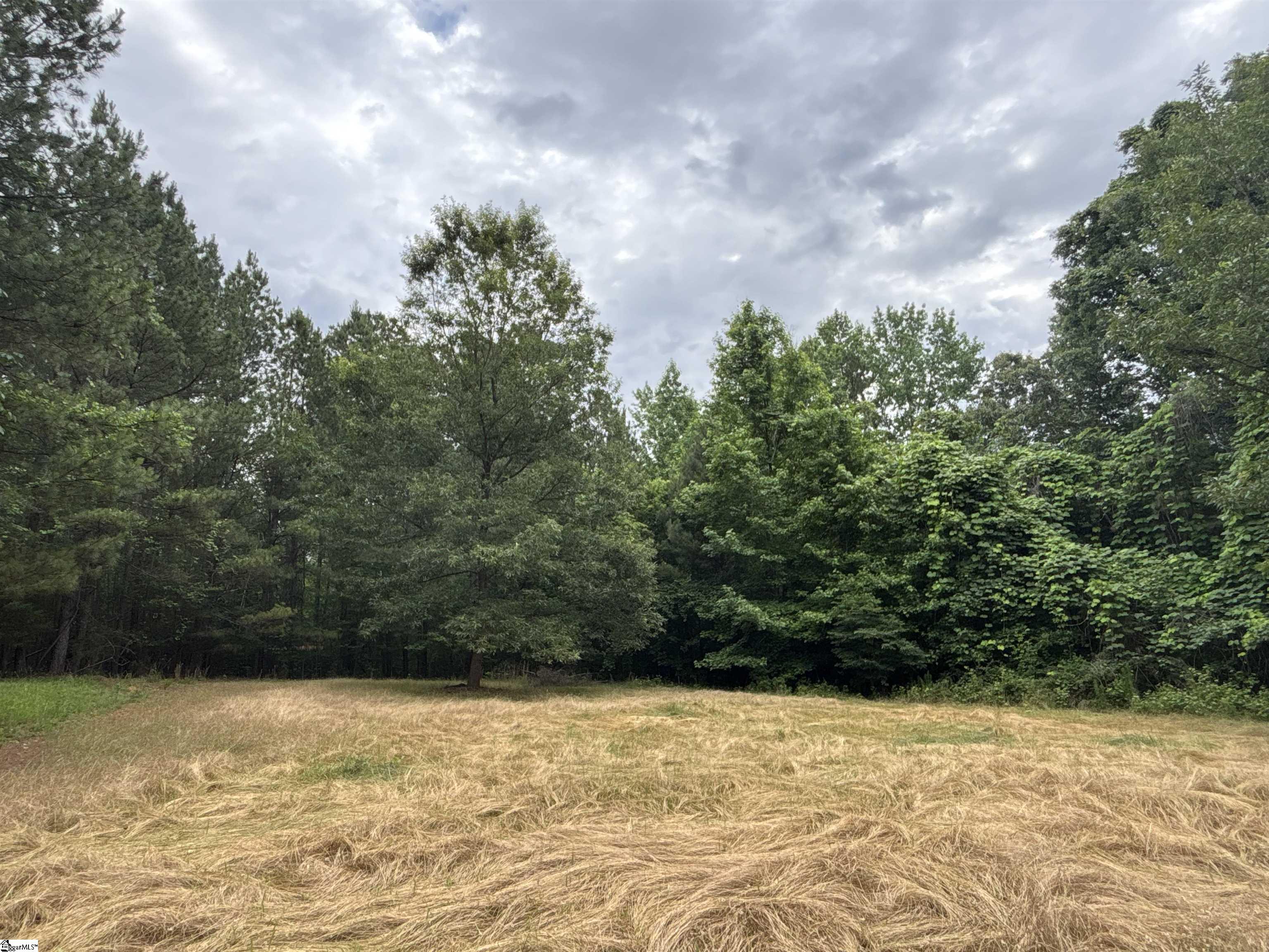 1087 Bobby Faucette Road Property Photo 35